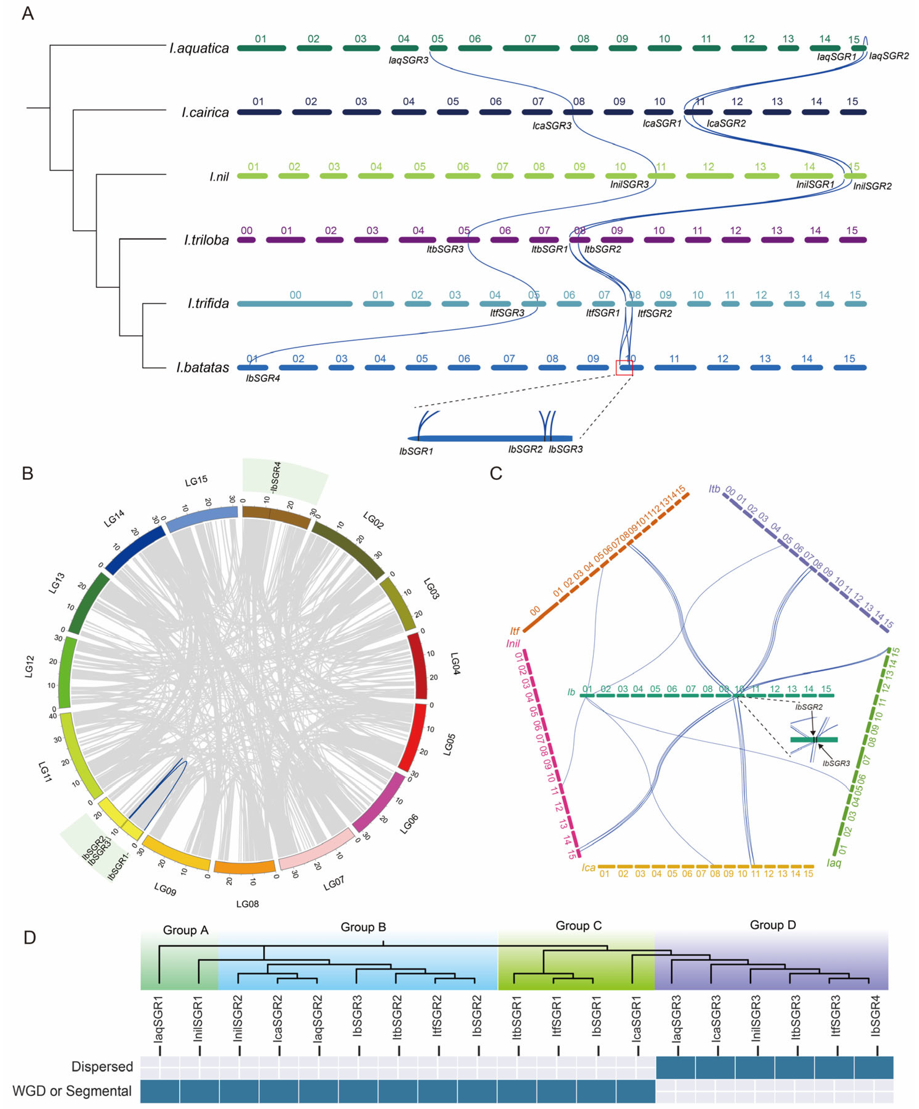 Genes 16 00266 g005