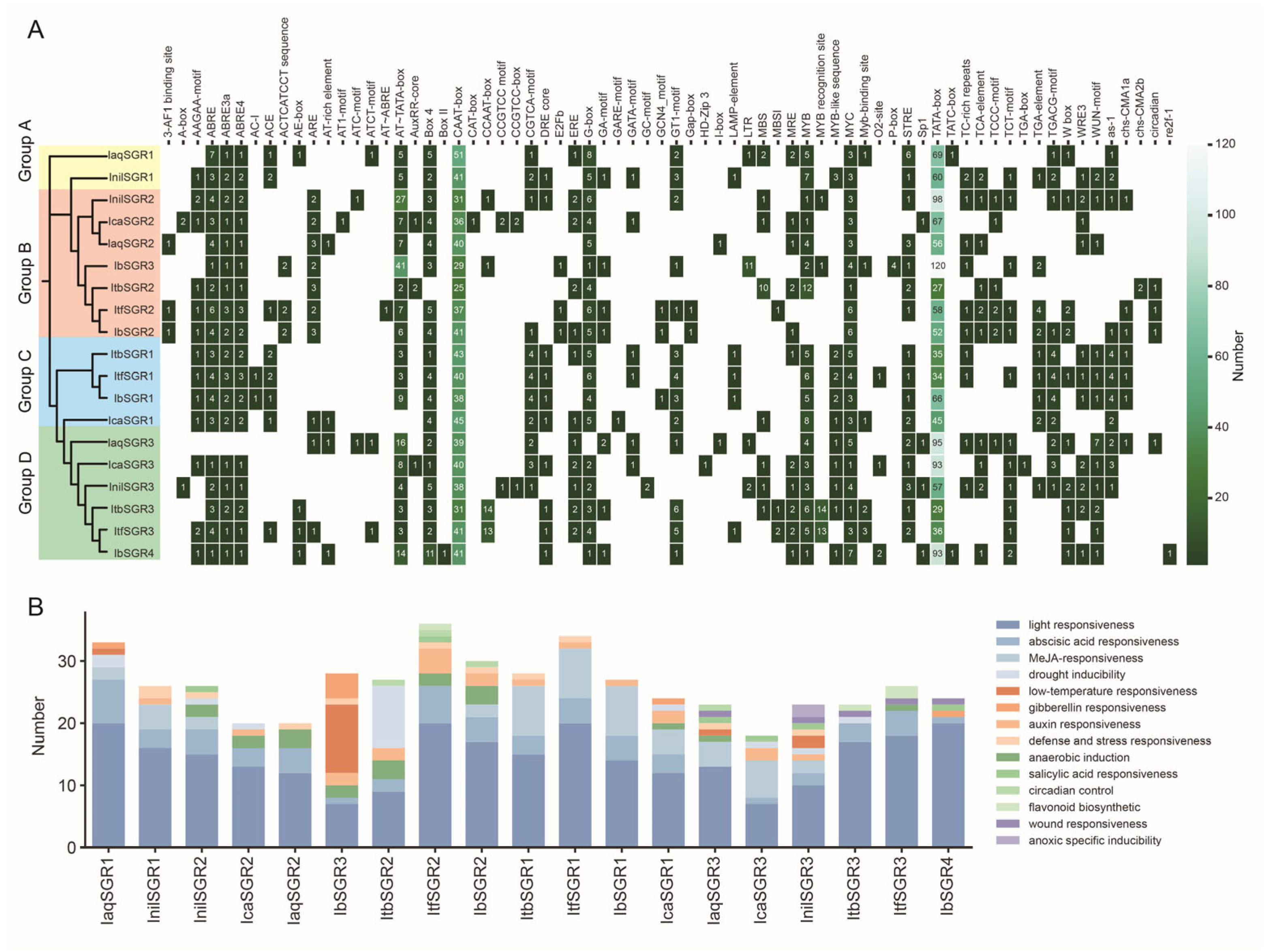 Genes 16 00266 g006