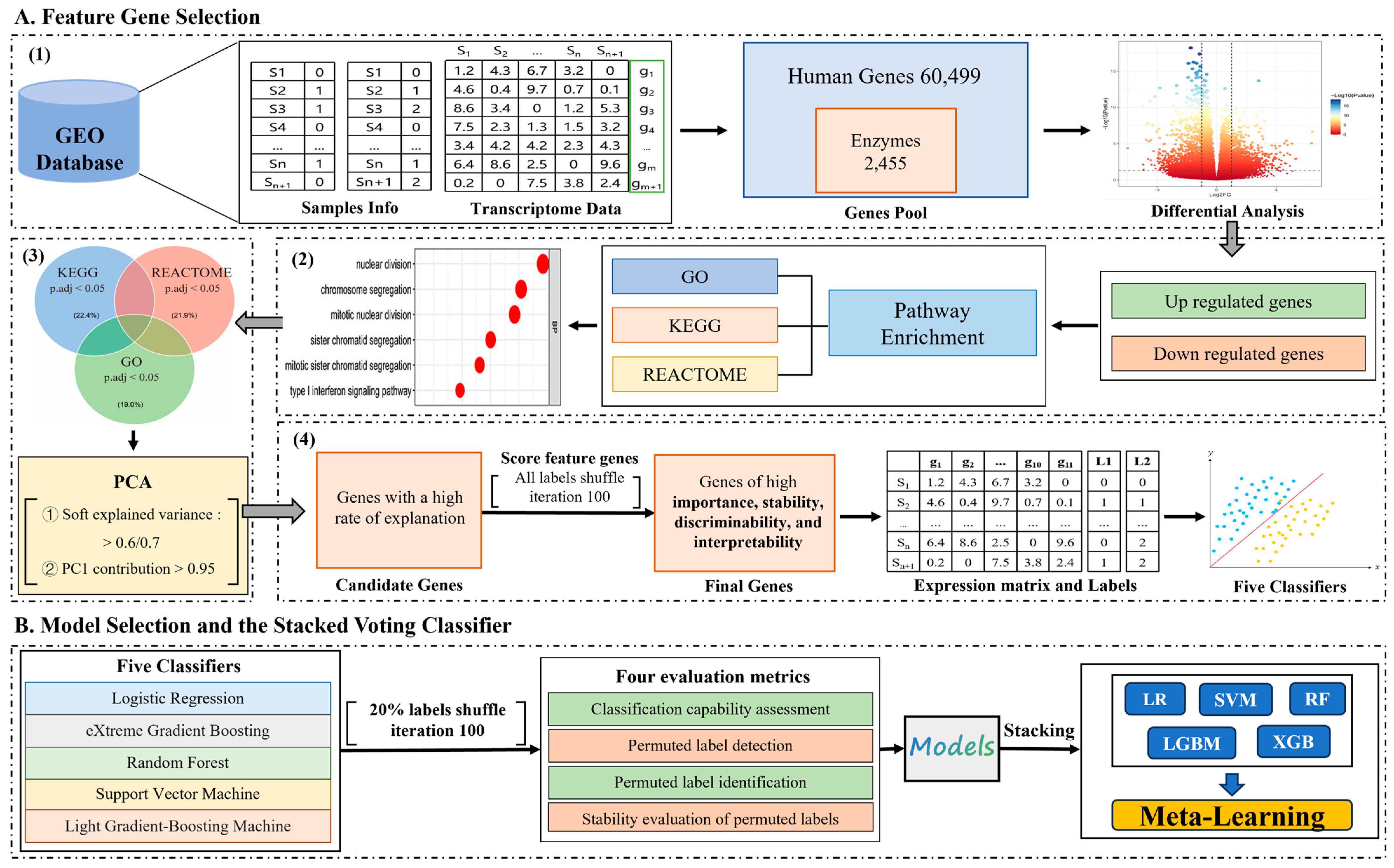 Genes 16 00297 g001
