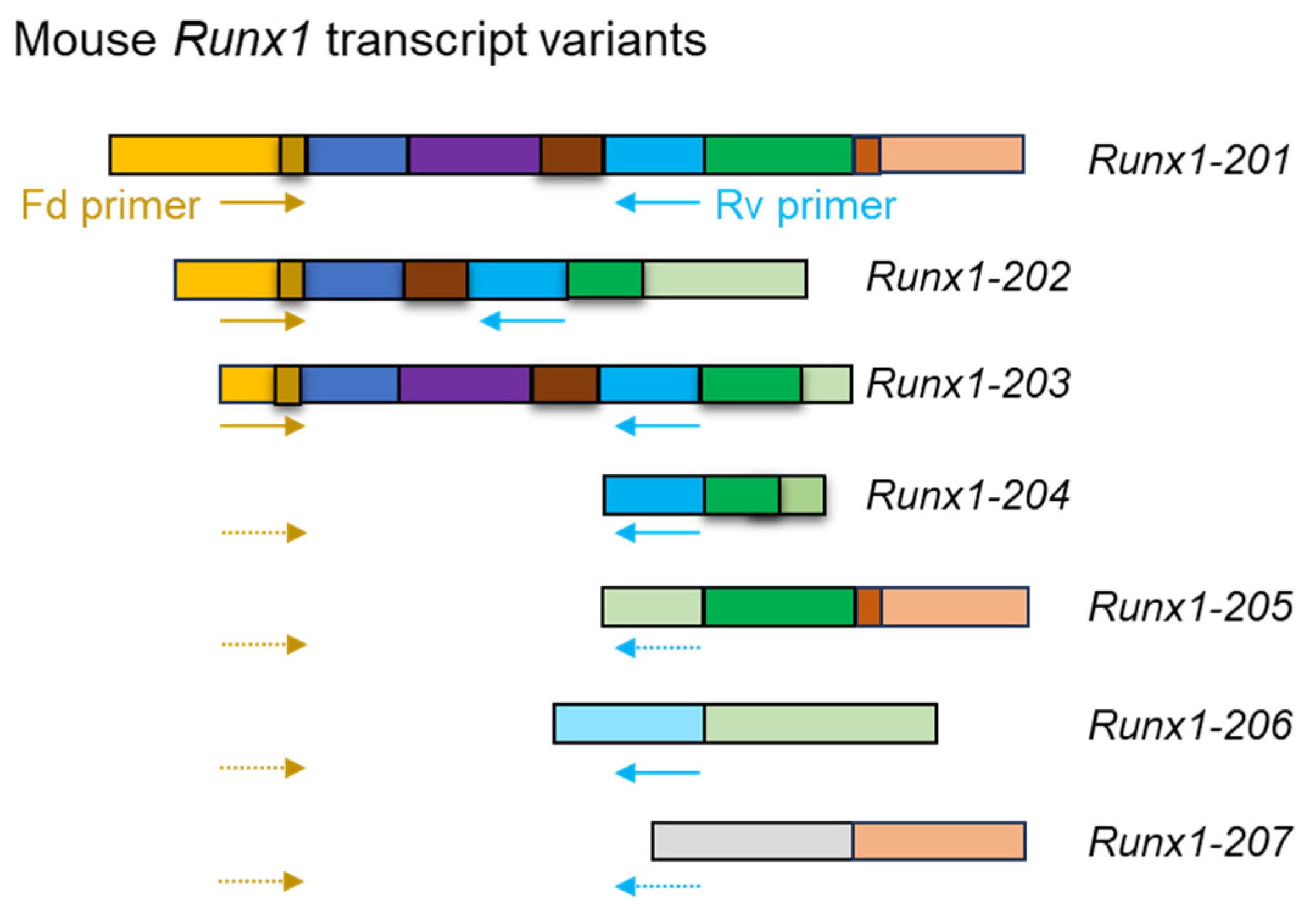 Genes 16 00343 g004