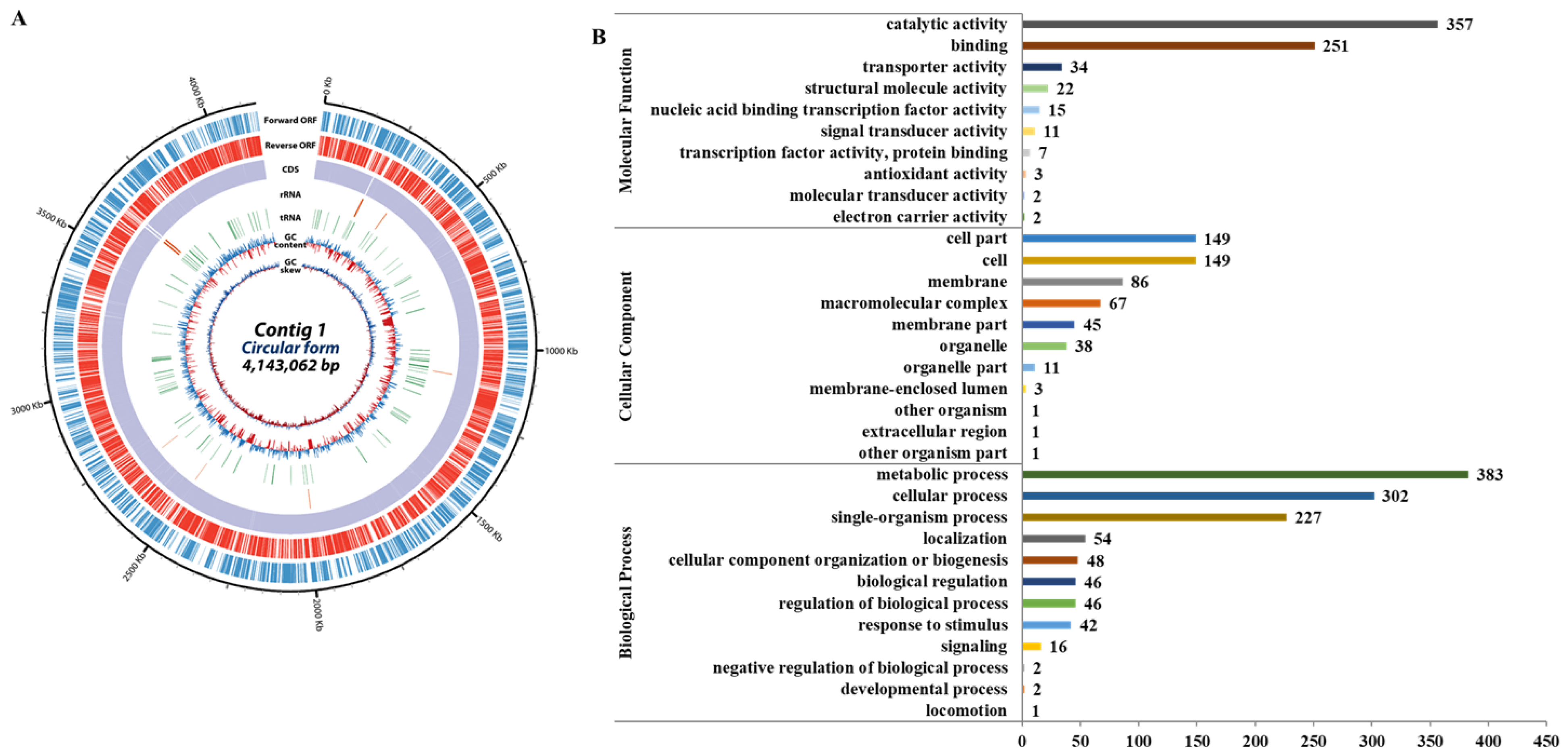 Genes 16 00353 g001