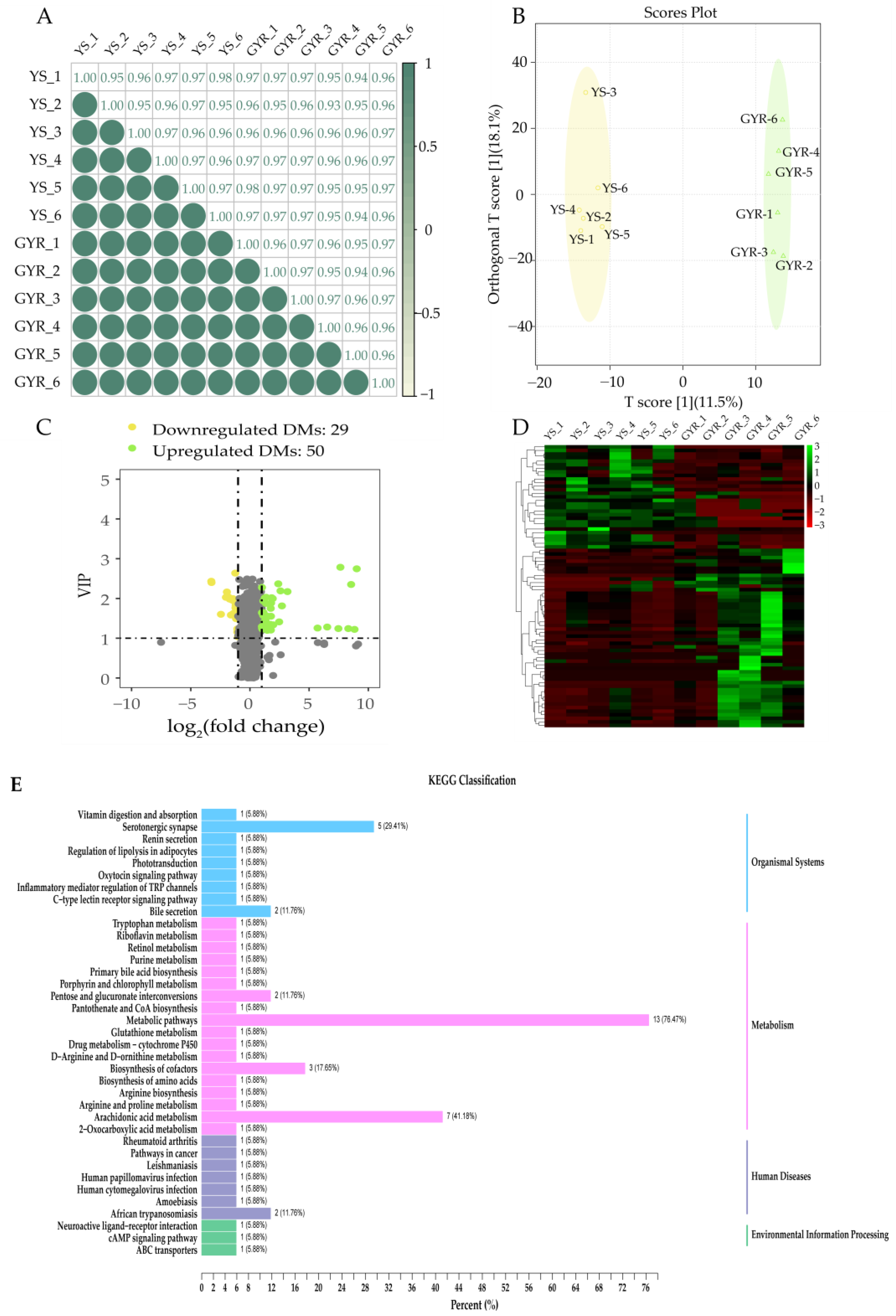 Genes 16 00383 g005