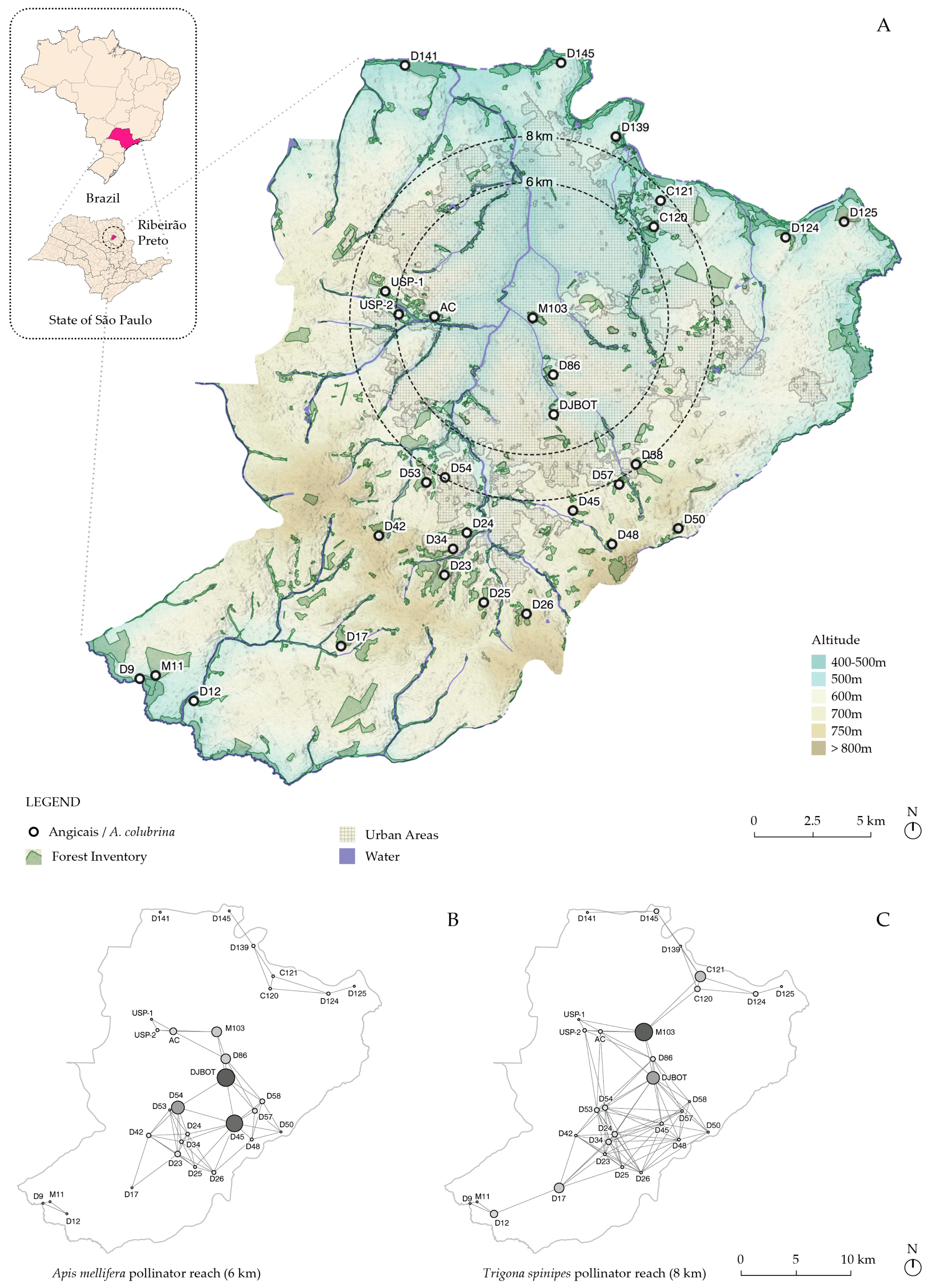 Genes 16 00388 g001 Genes 16 00388 g001