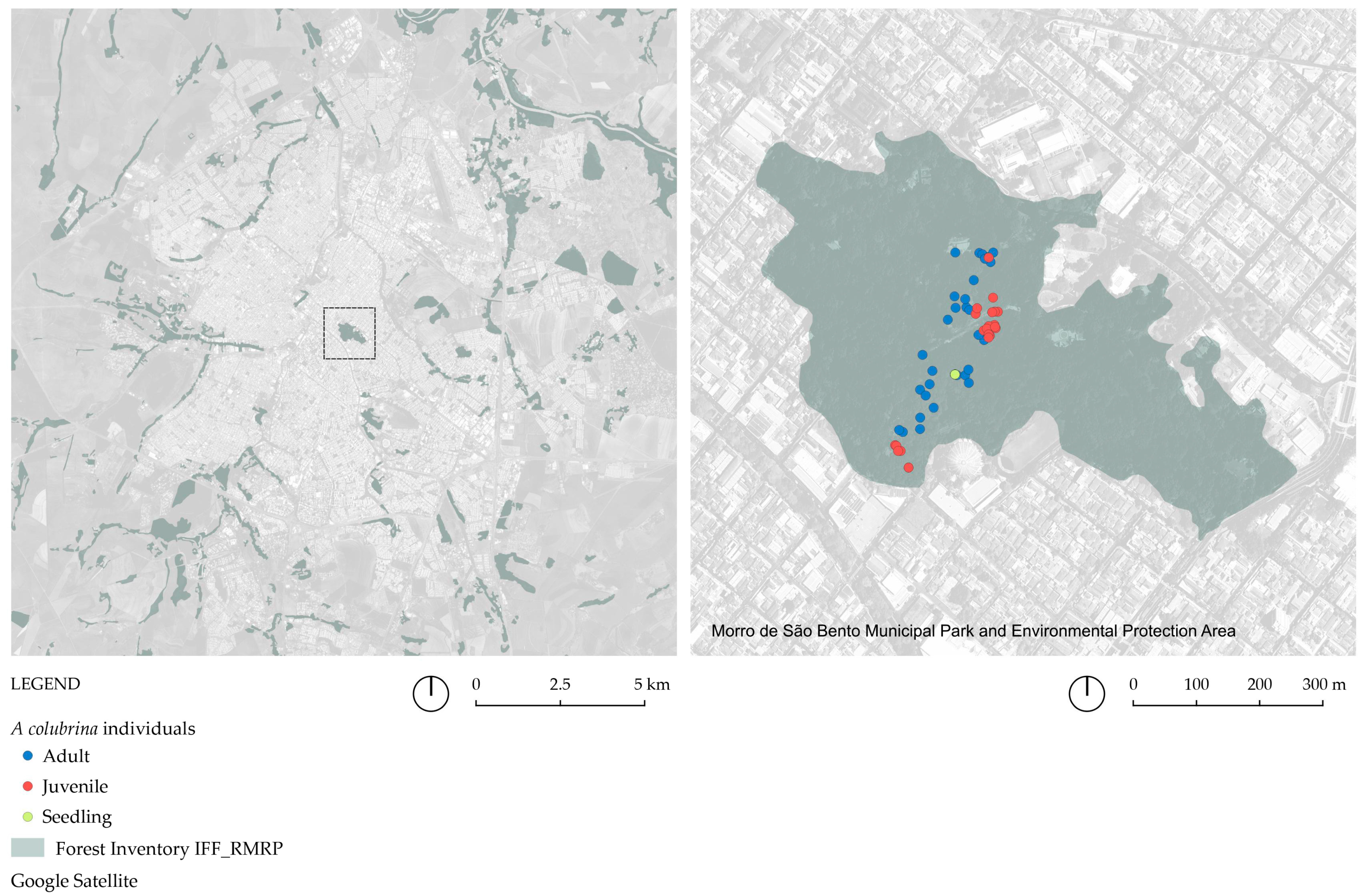 Genes 16 00388 g002 Genes 16 00388 g002