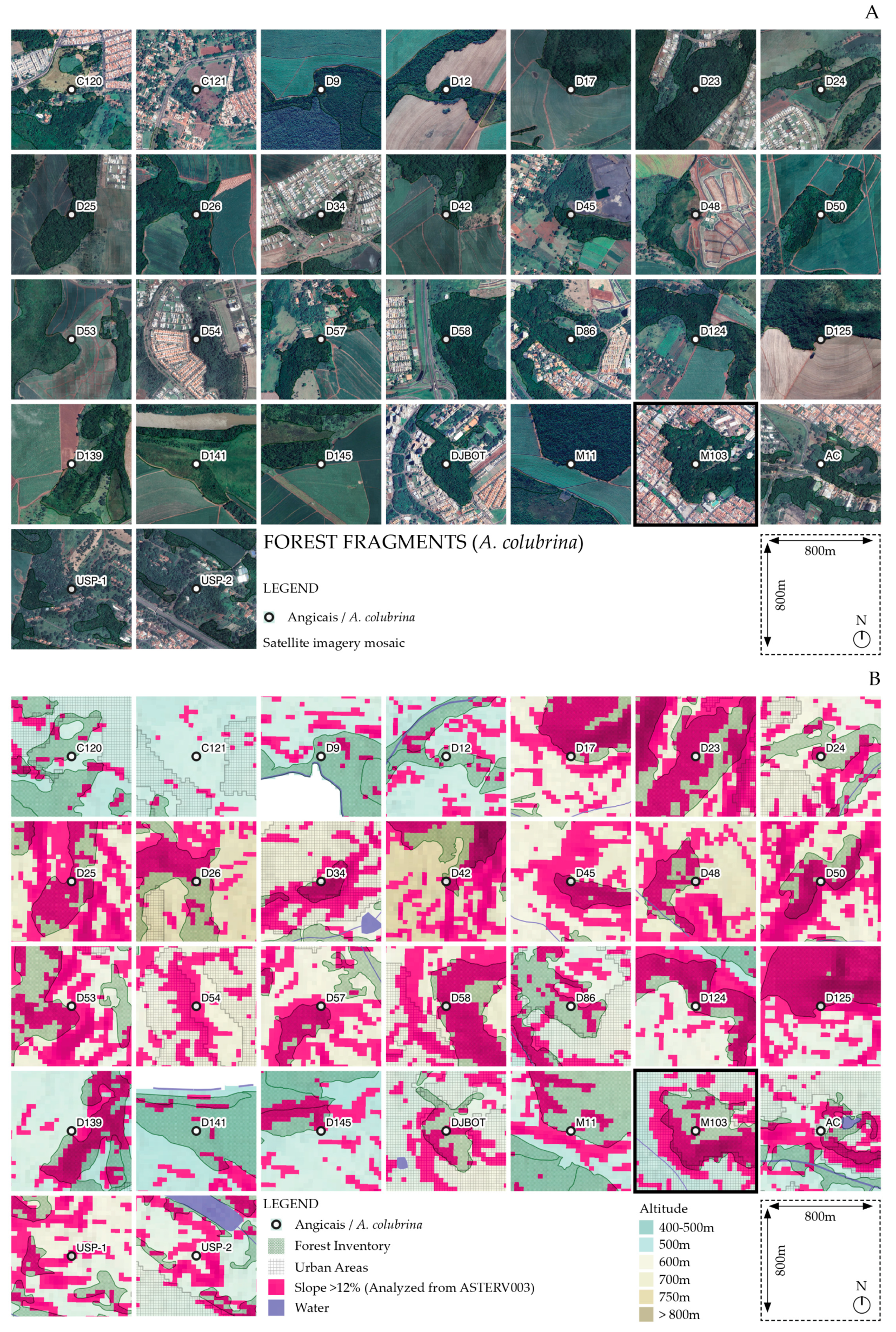 Genes 16 00388 g004 Genes 16 00388 g004