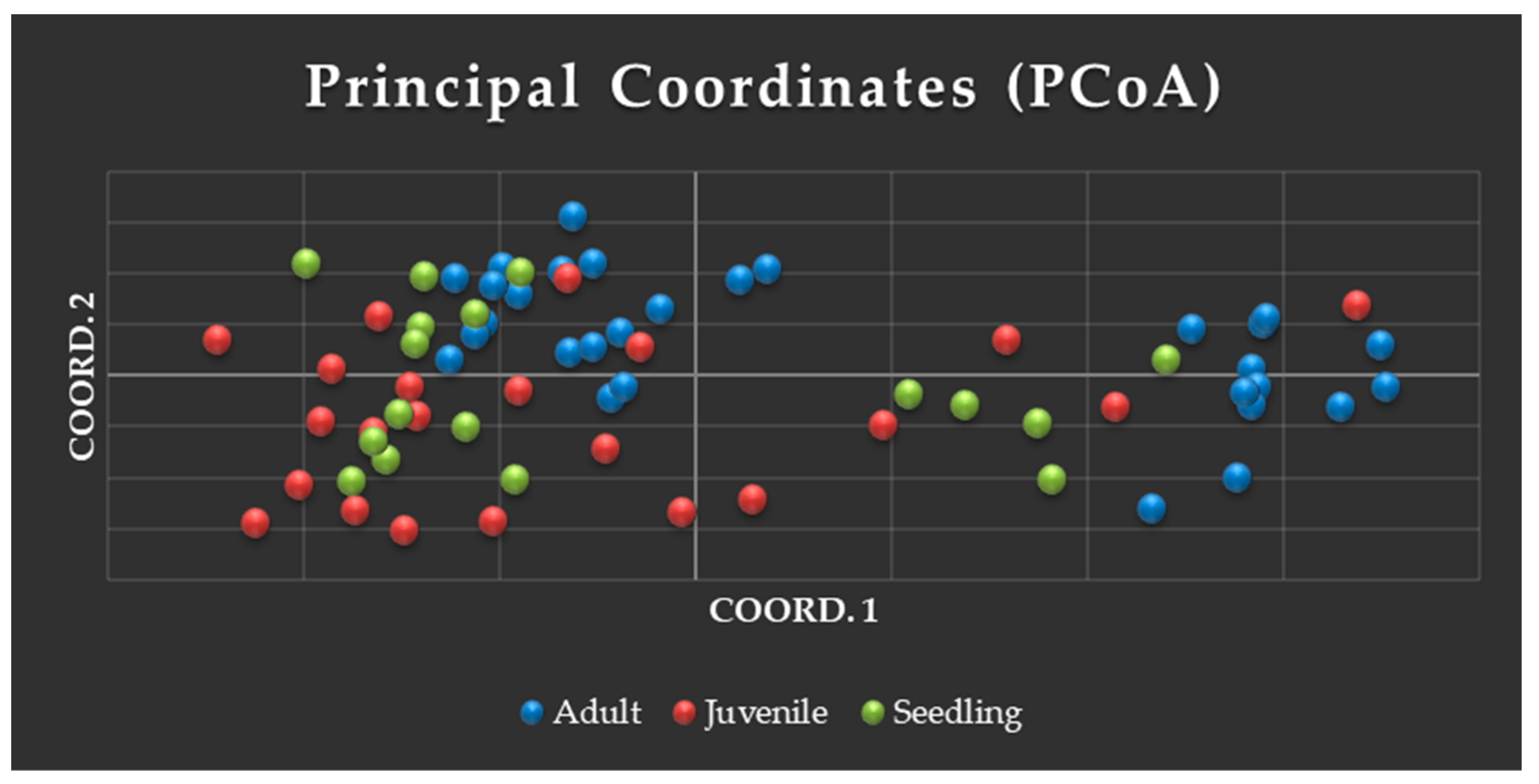 Genes 16 00388 g006a Genes 16 00388 g006a