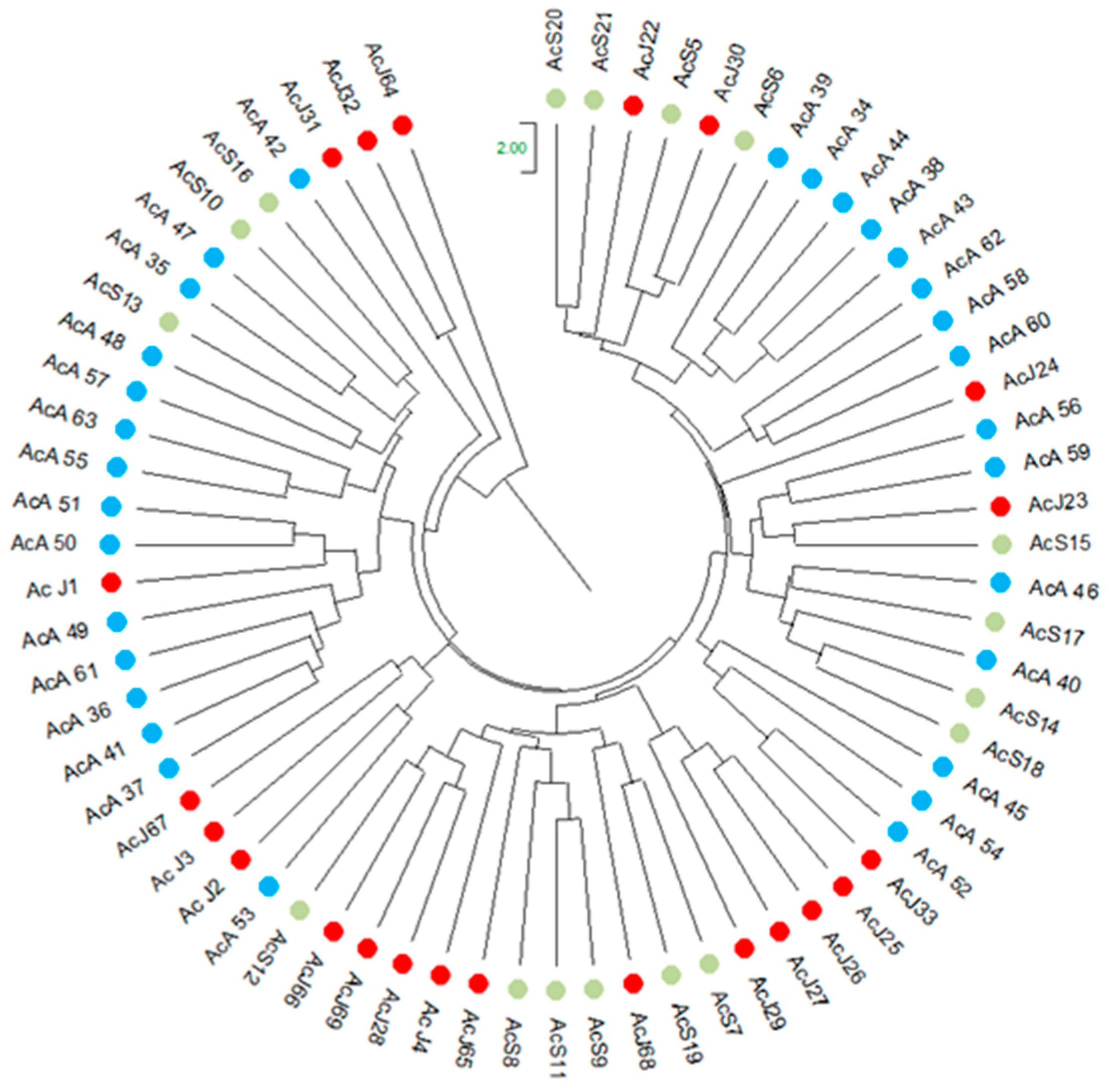 Genes 16 00388 g006b Genes 16 00388 g006b
