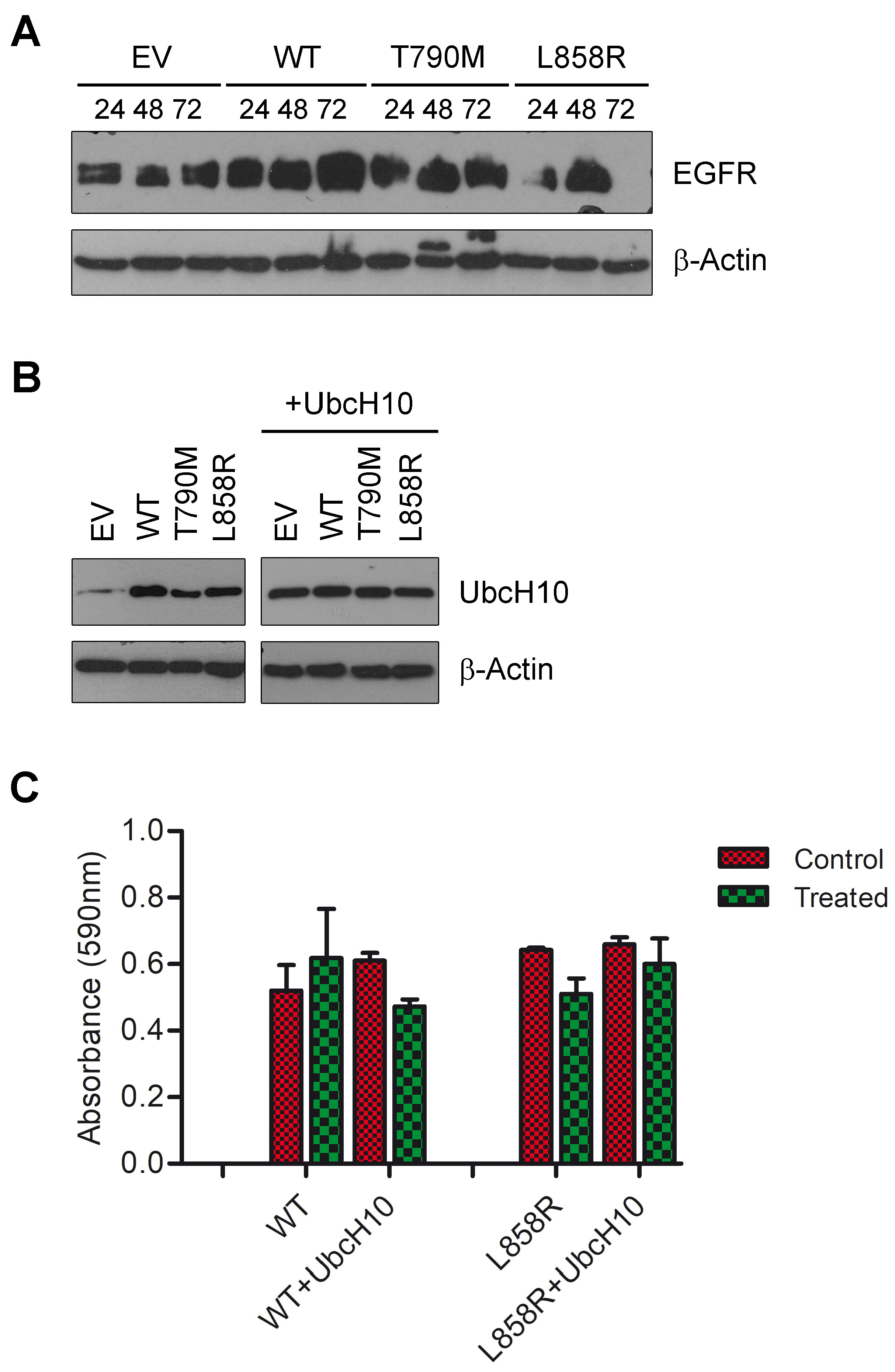 Genes 16 00404 g001