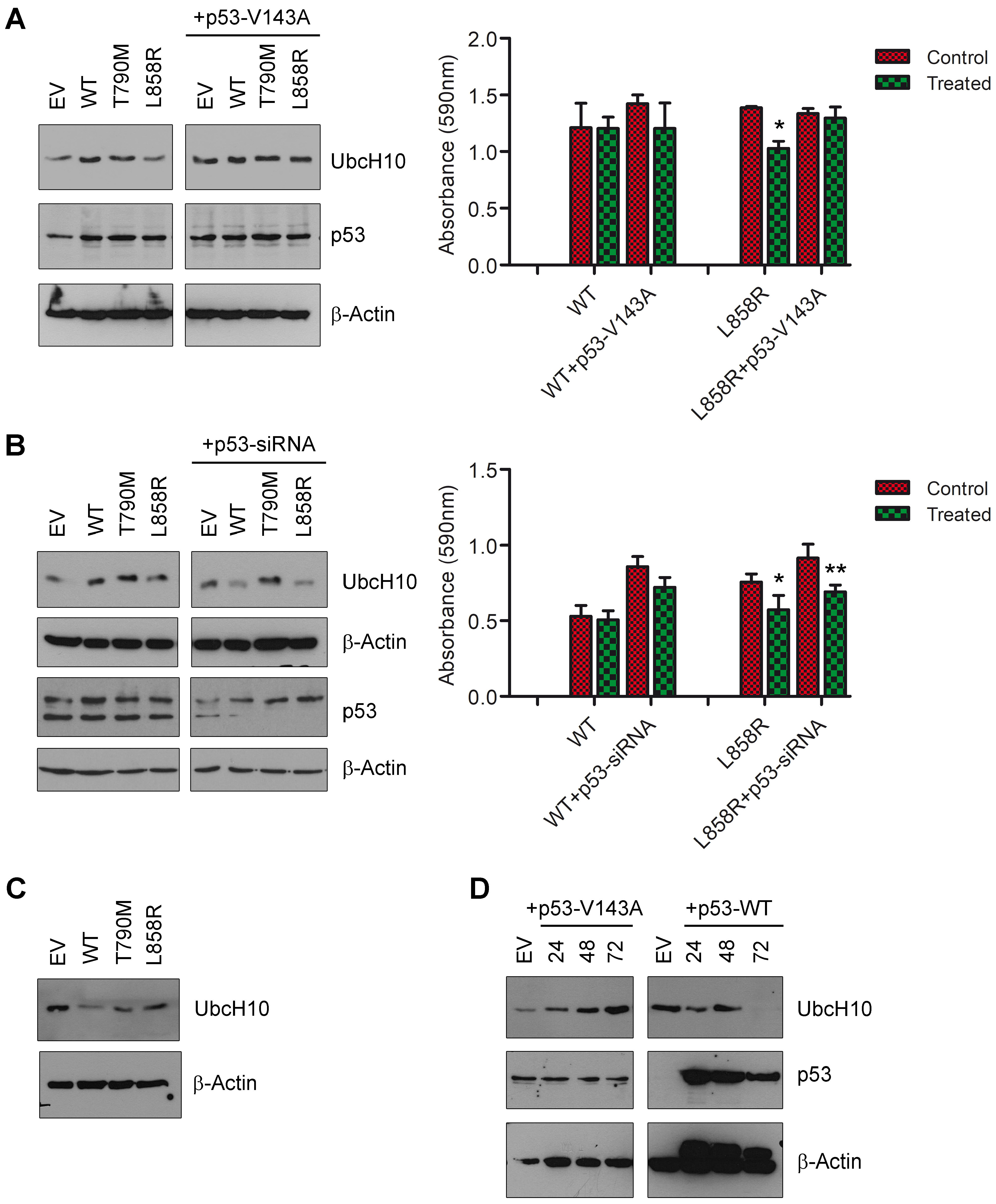 Genes 16 00404 g003