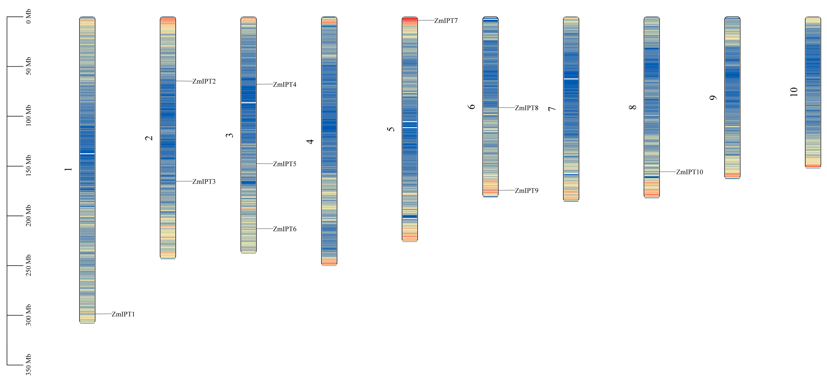 Genes 16 00415 g001