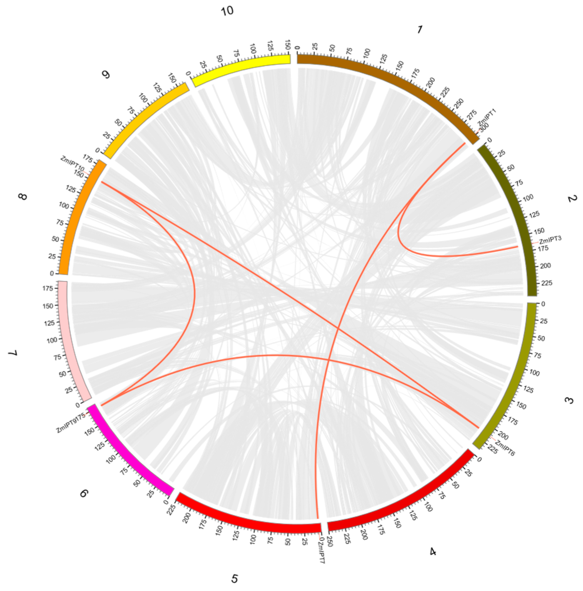 Genes 16 00415 g004