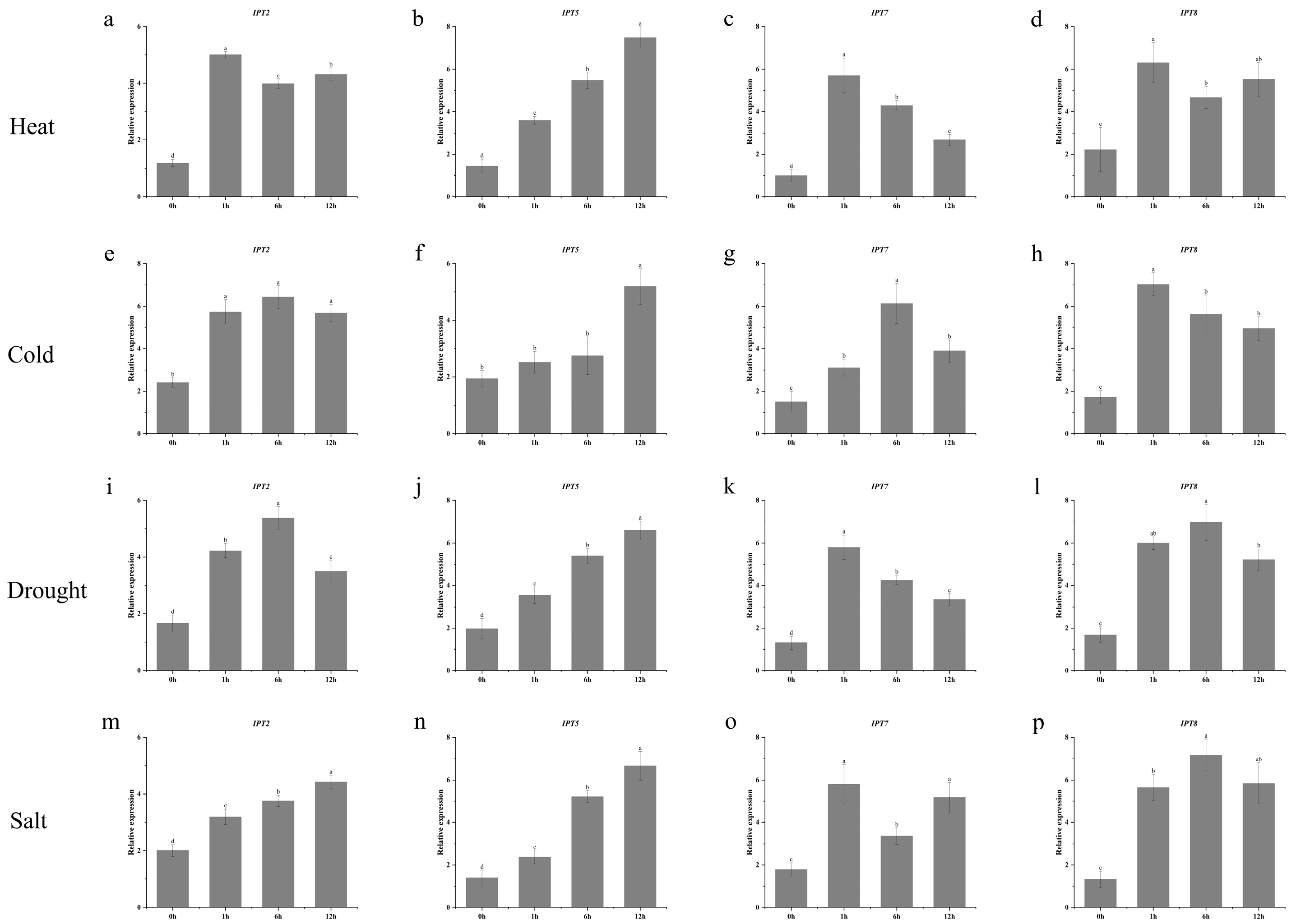 Genes 16 00415 g008