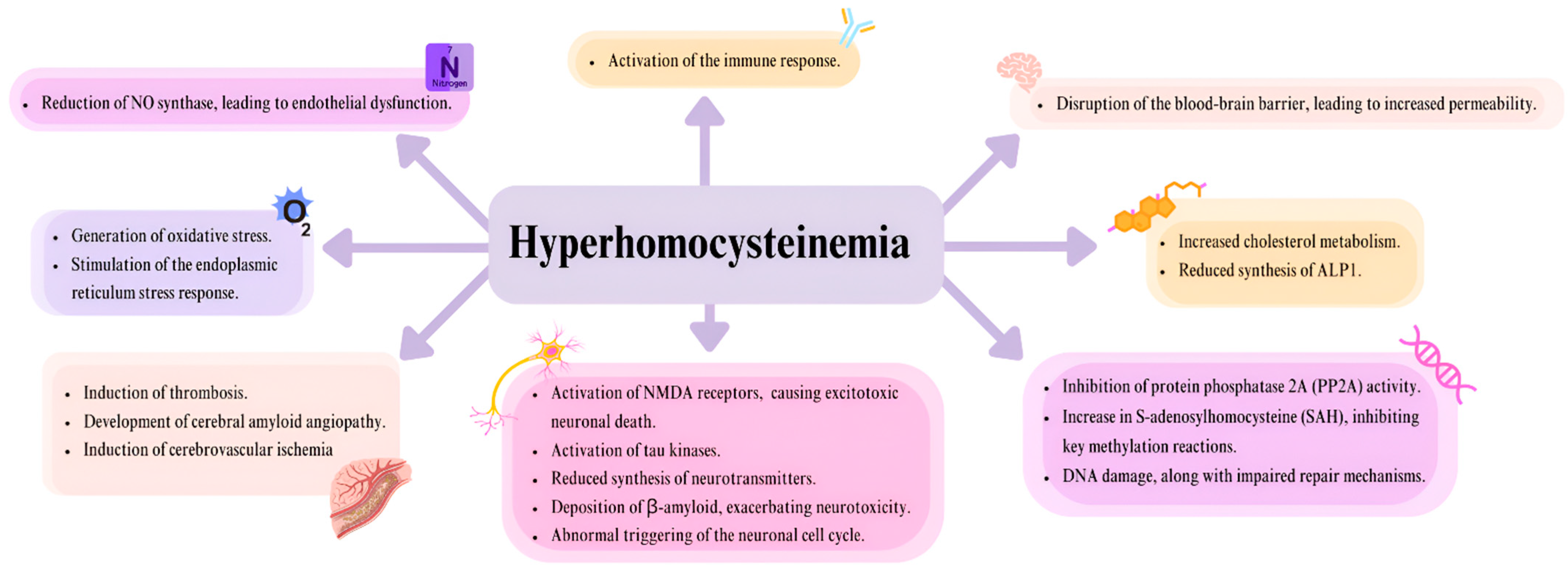 Genes 16 00441 g002 Genes 16 00441 g002