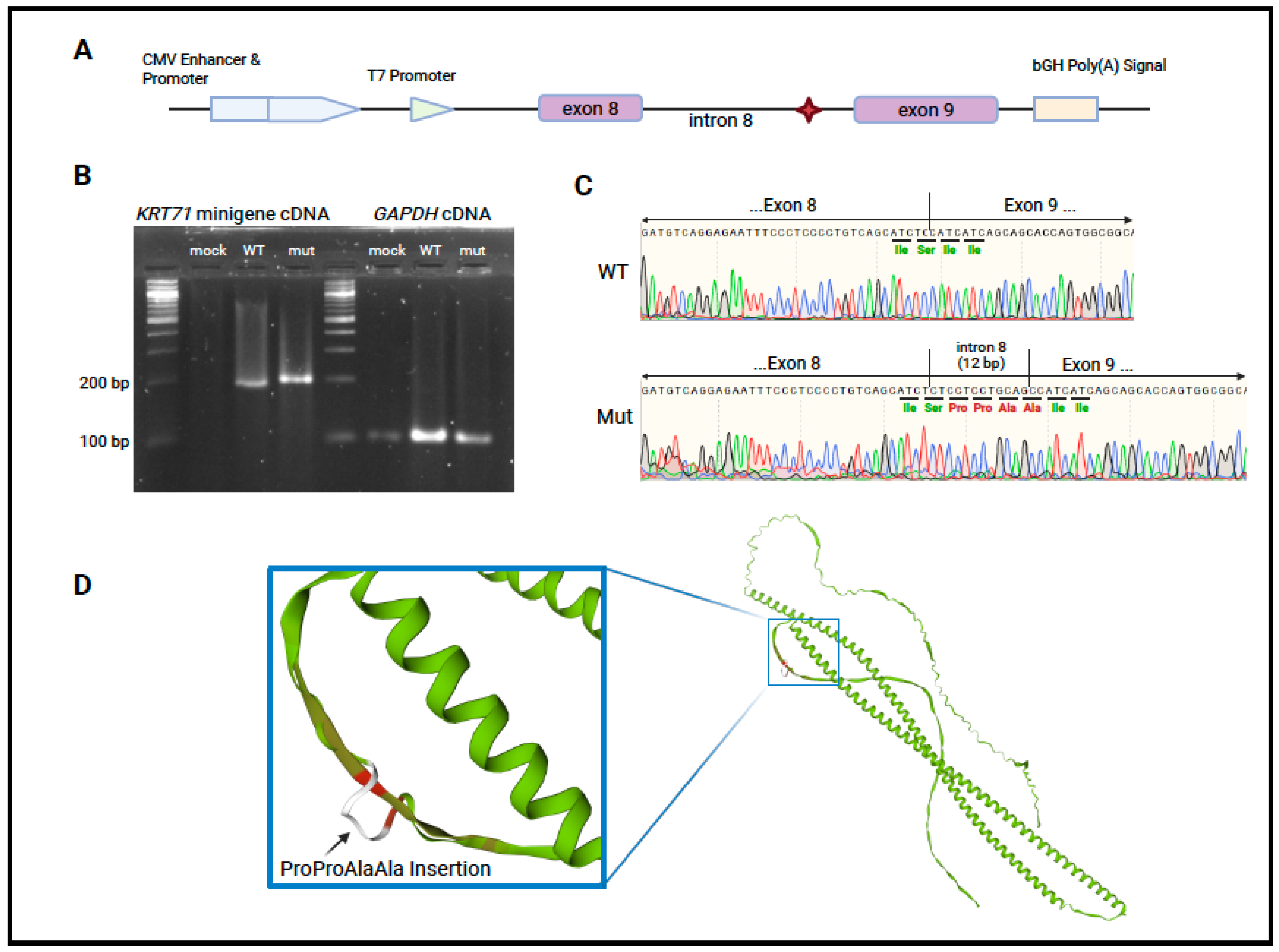 Genes 16 00459 g002