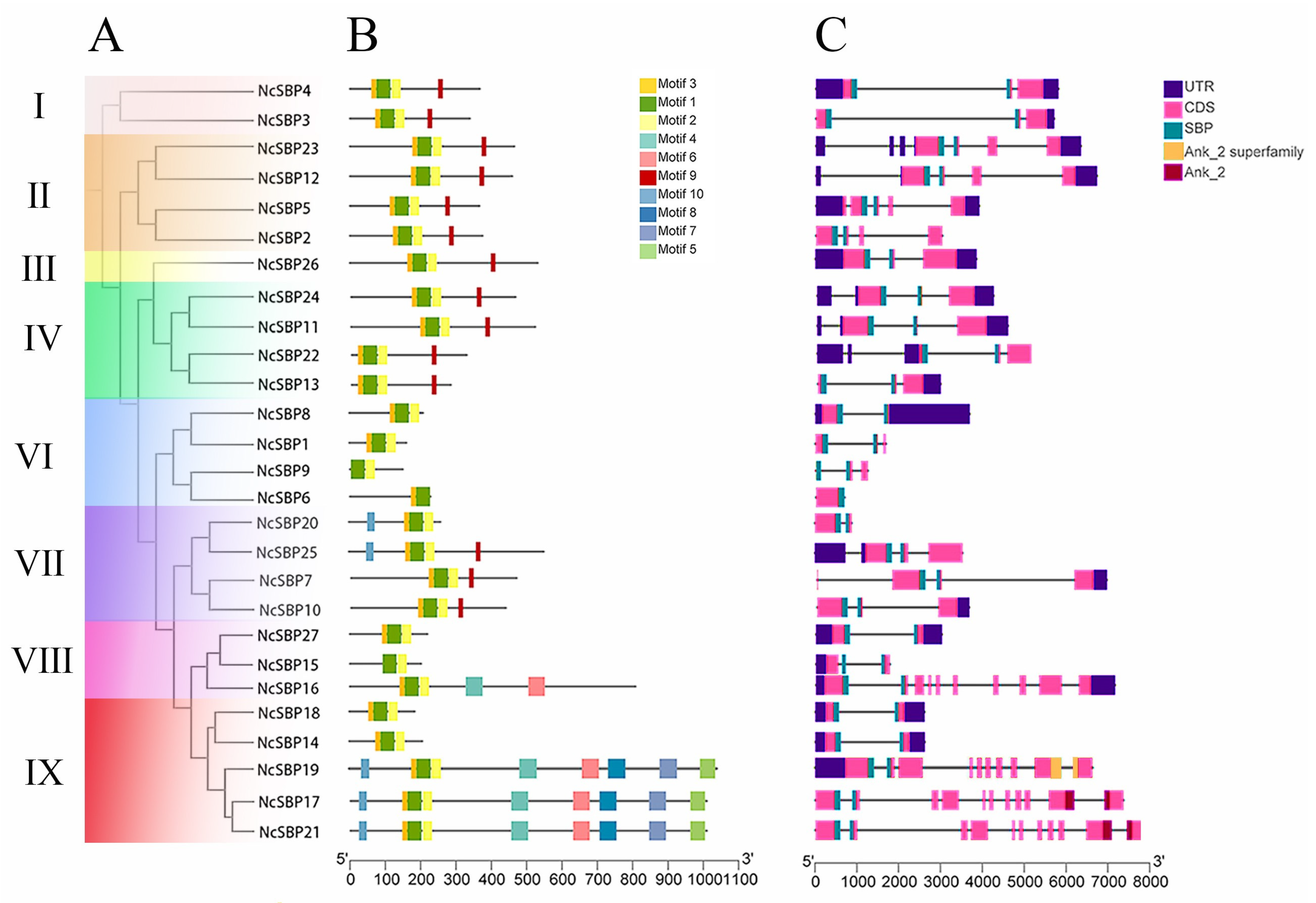 Genes 16 00460 g002