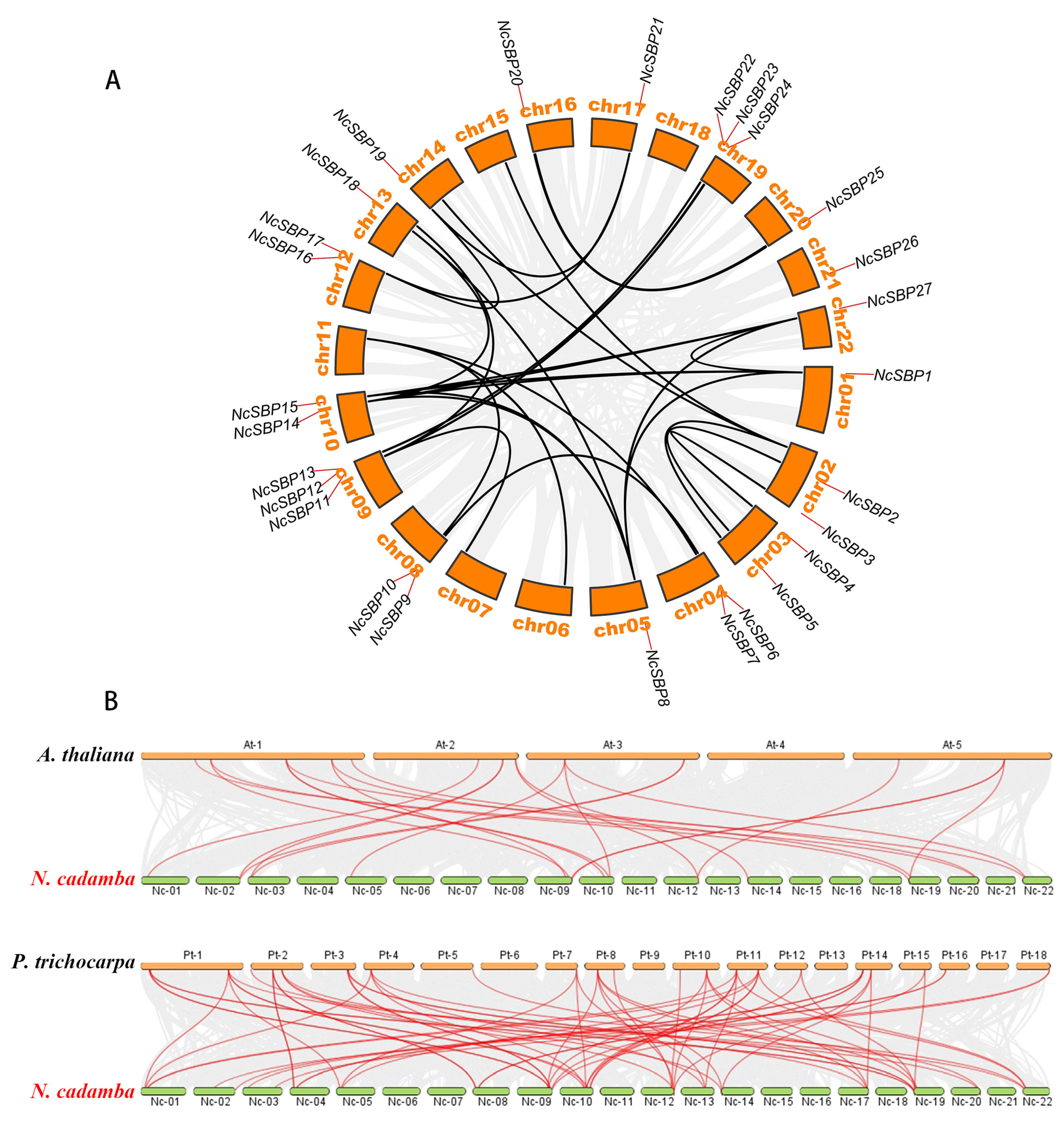 Genes 16 00460 g004