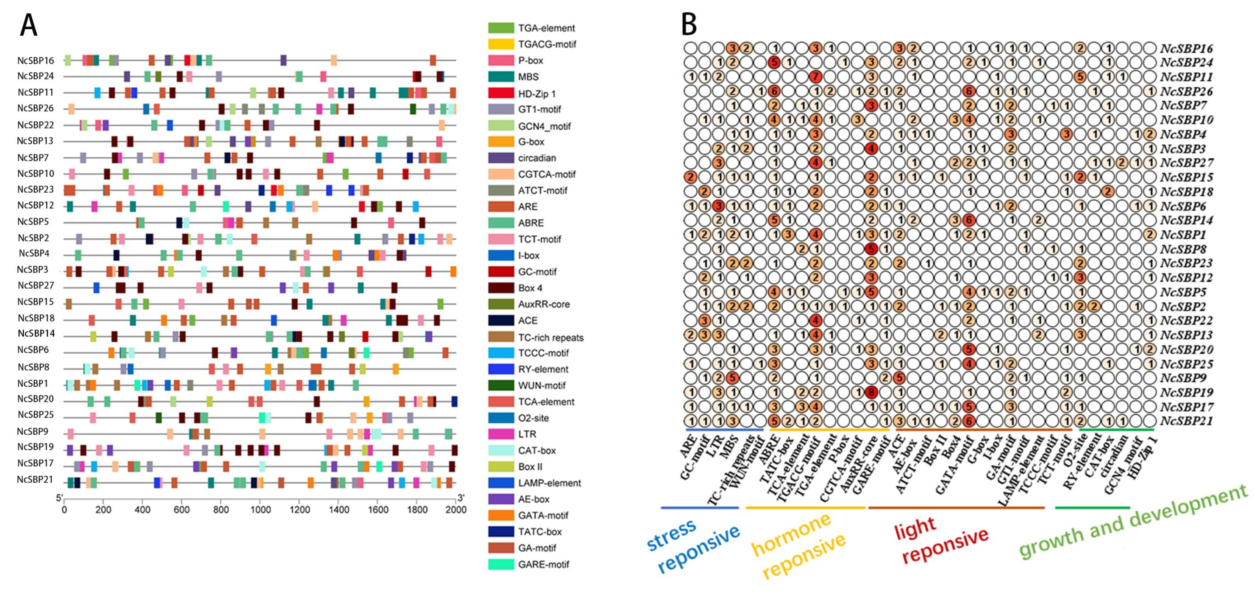 Genes 16 00460 g005
