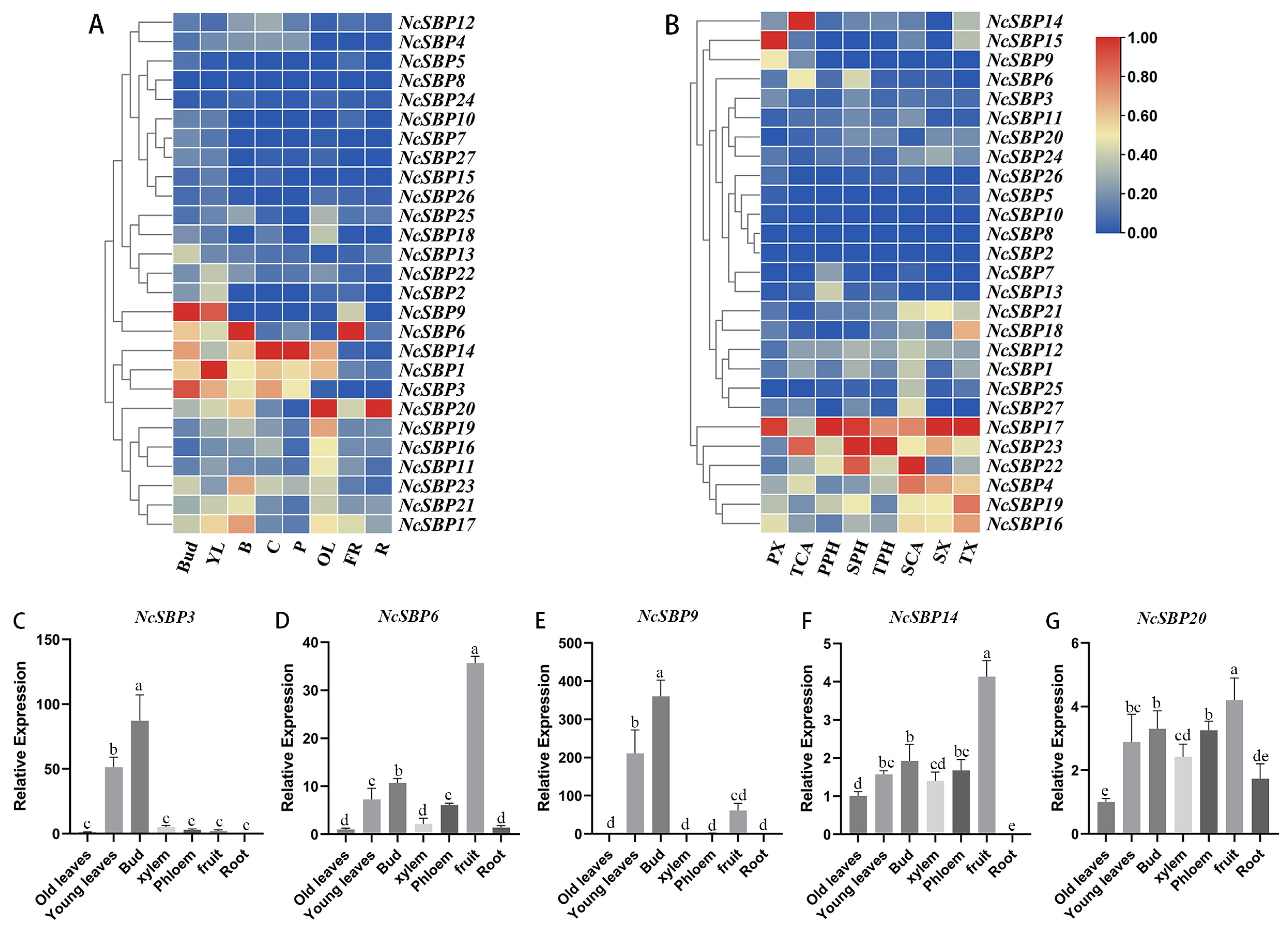 Genes 16 00460 g006
