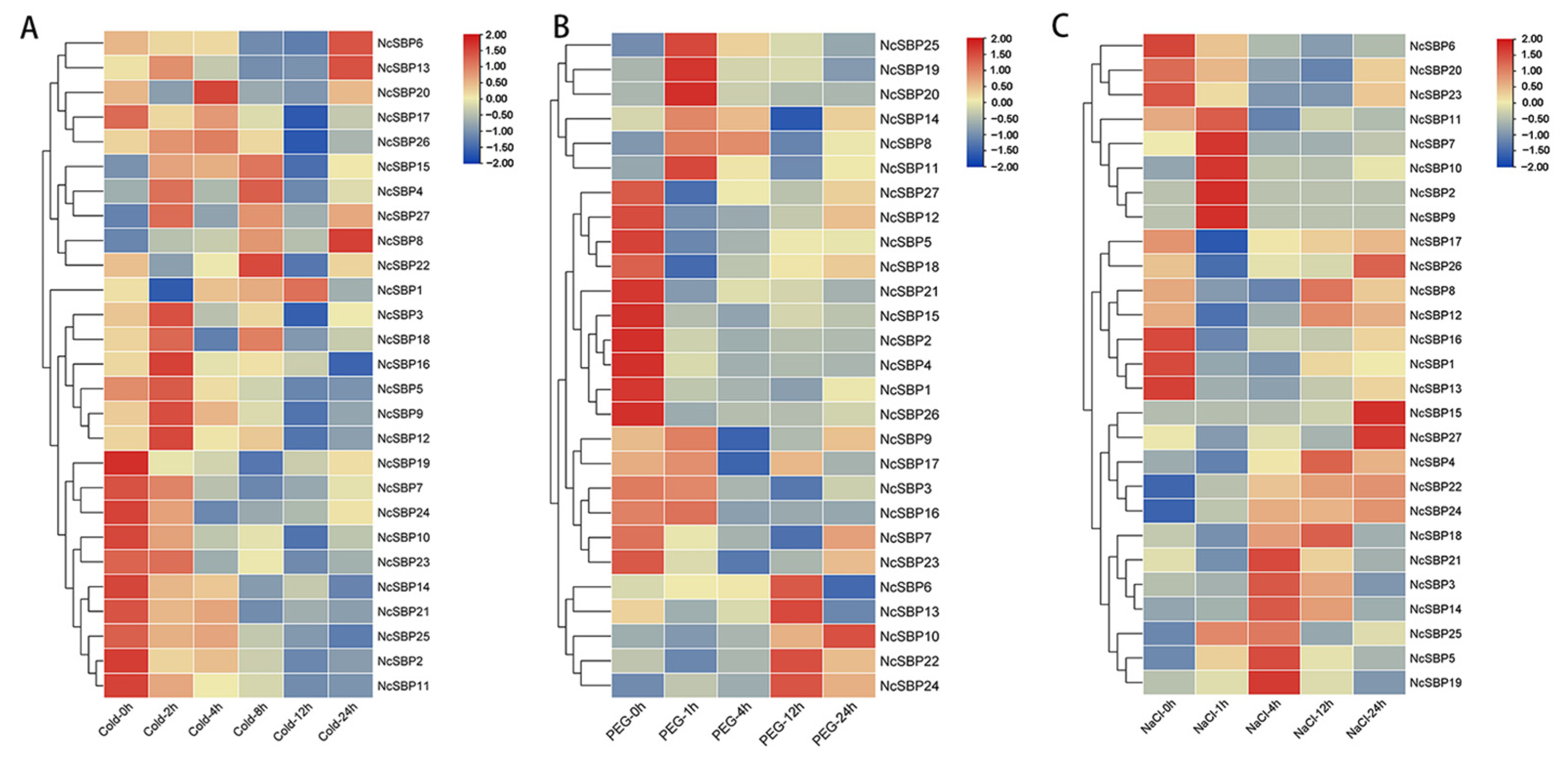 Genes 16 00460 g008