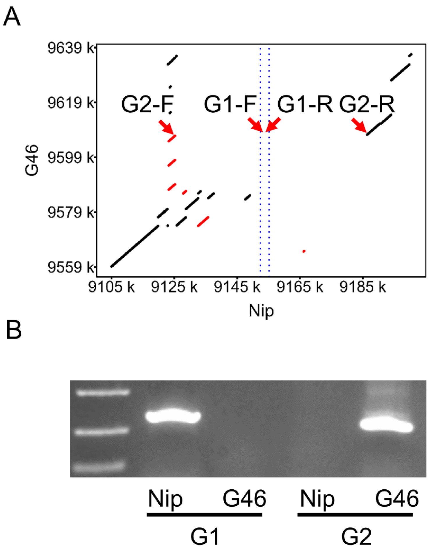 Genes 16 00462 g003