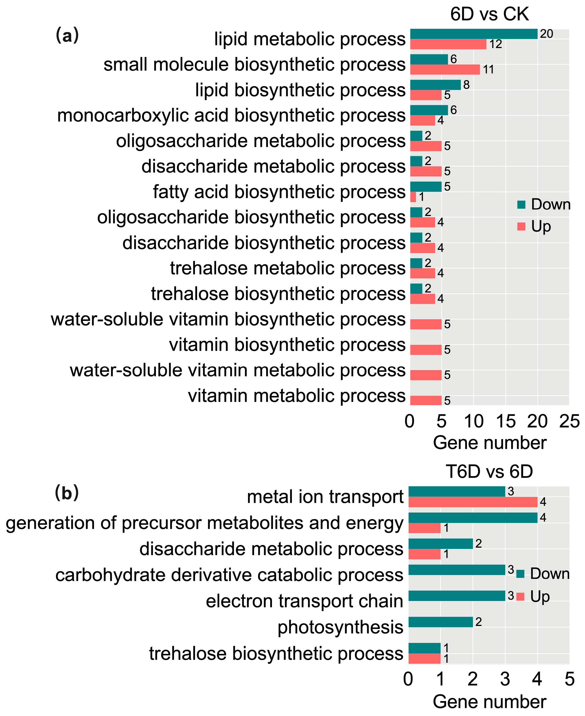 Genes 16 00468 g009