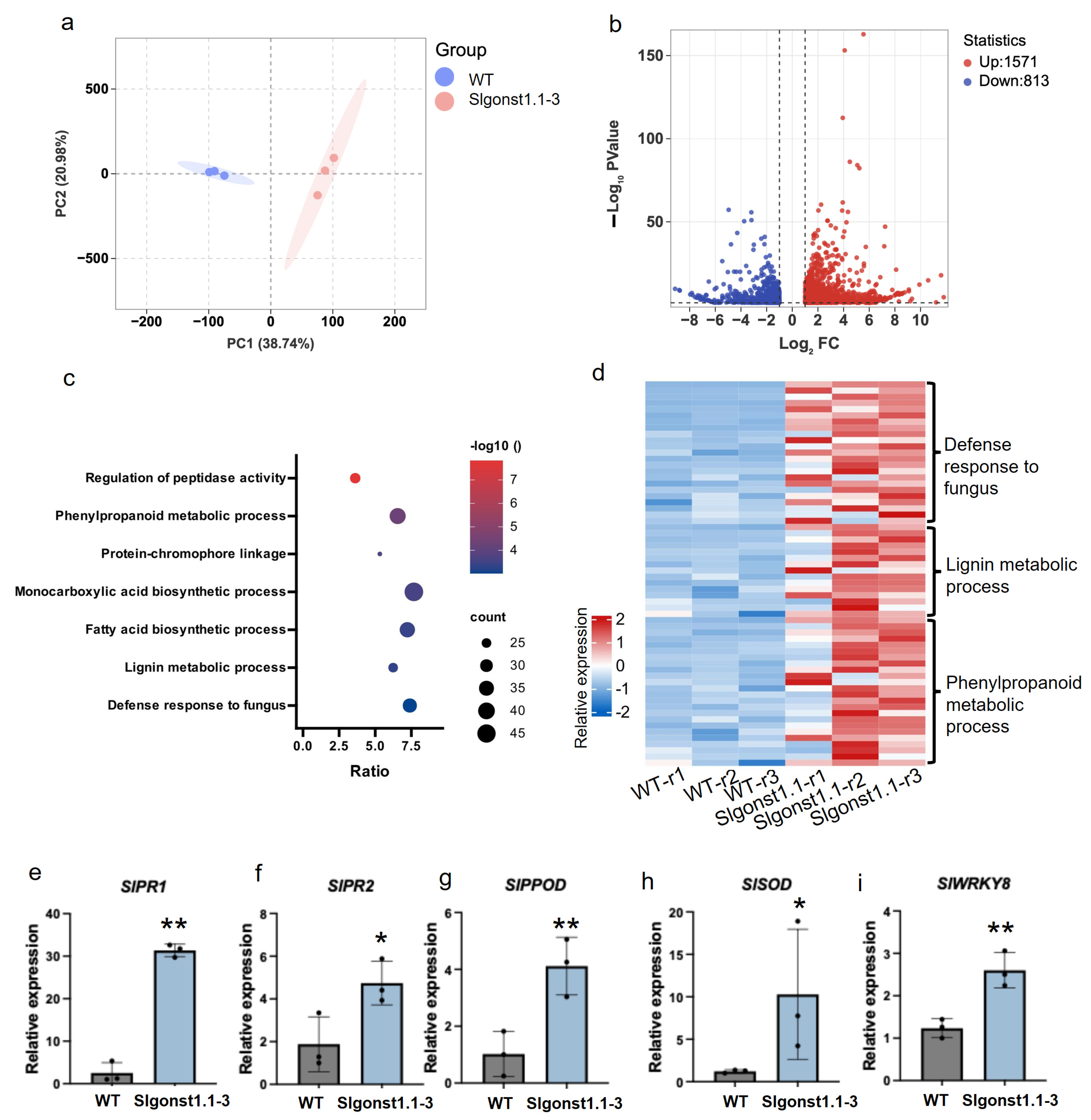 Genes 16 00470 g005