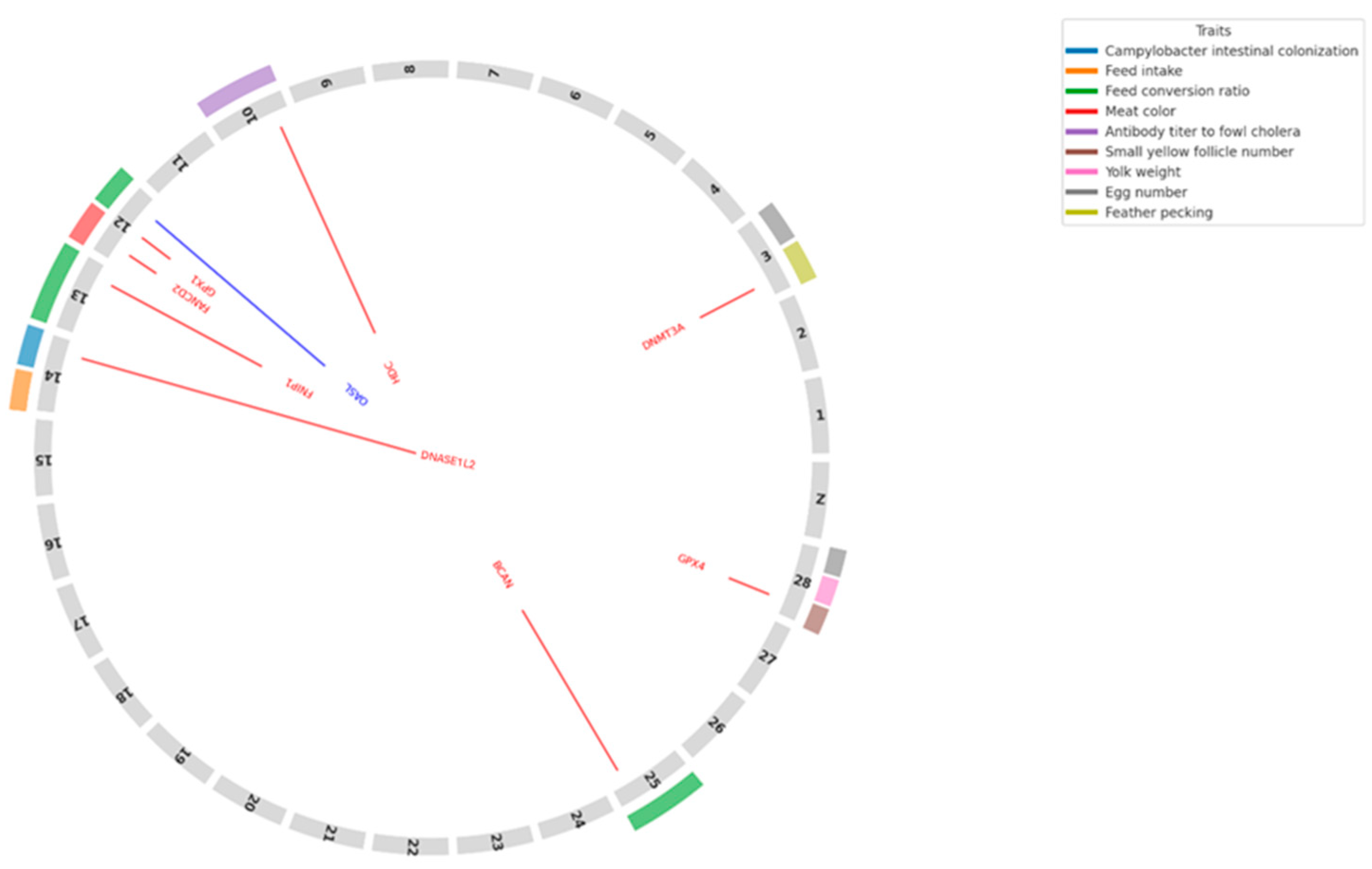 Genes 16 00471 g002 Genes 16 00471 g002