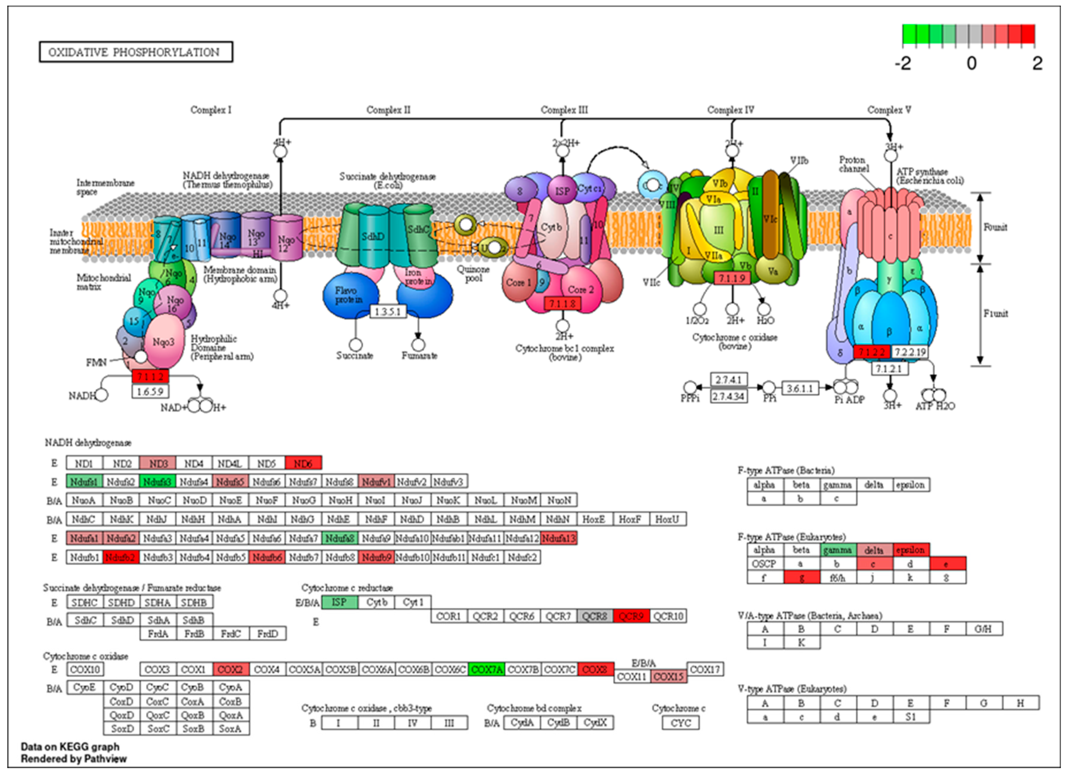 Genes 16 00471 g004 Genes 16 00471 g004