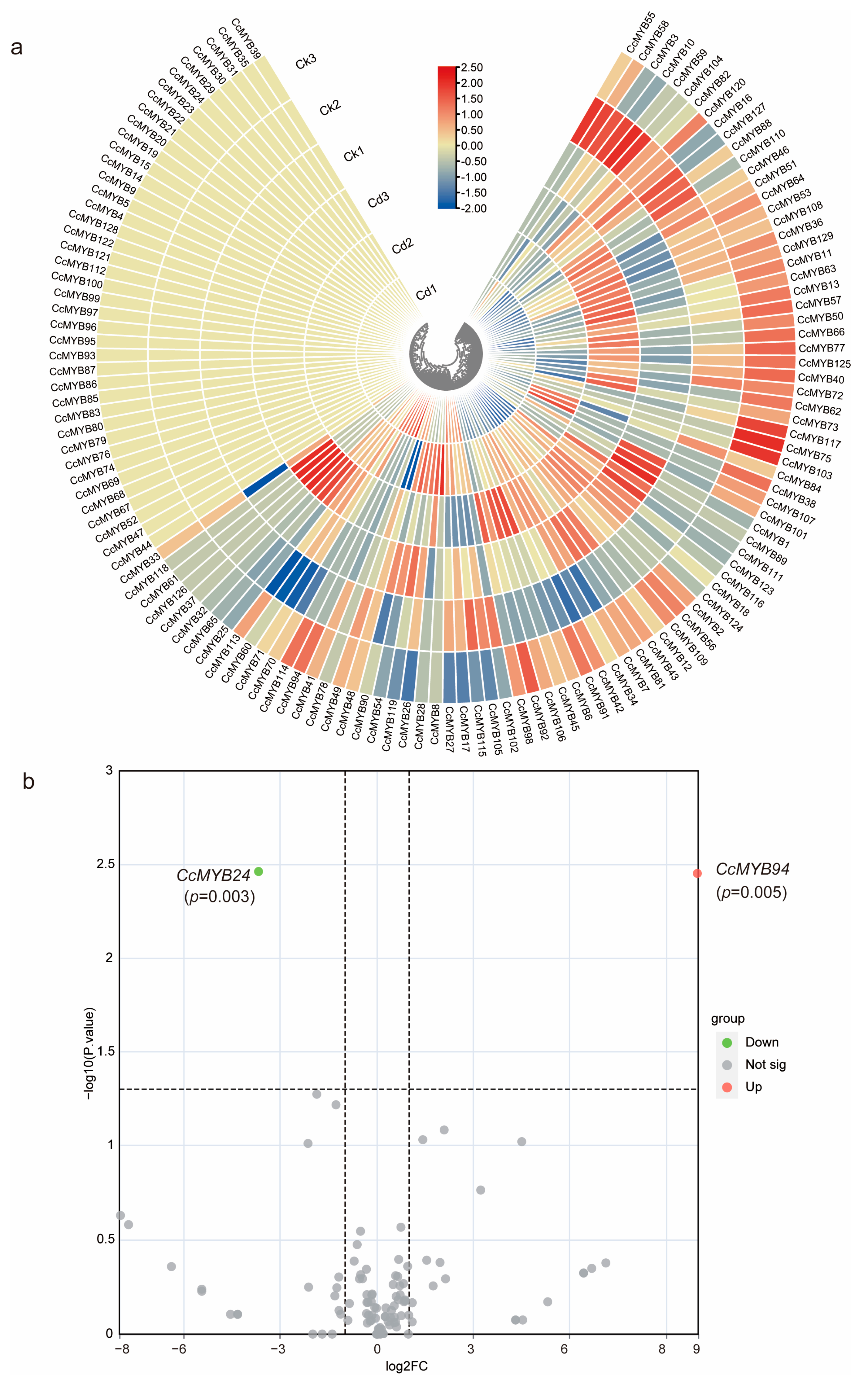 Genes 16 00476 g008