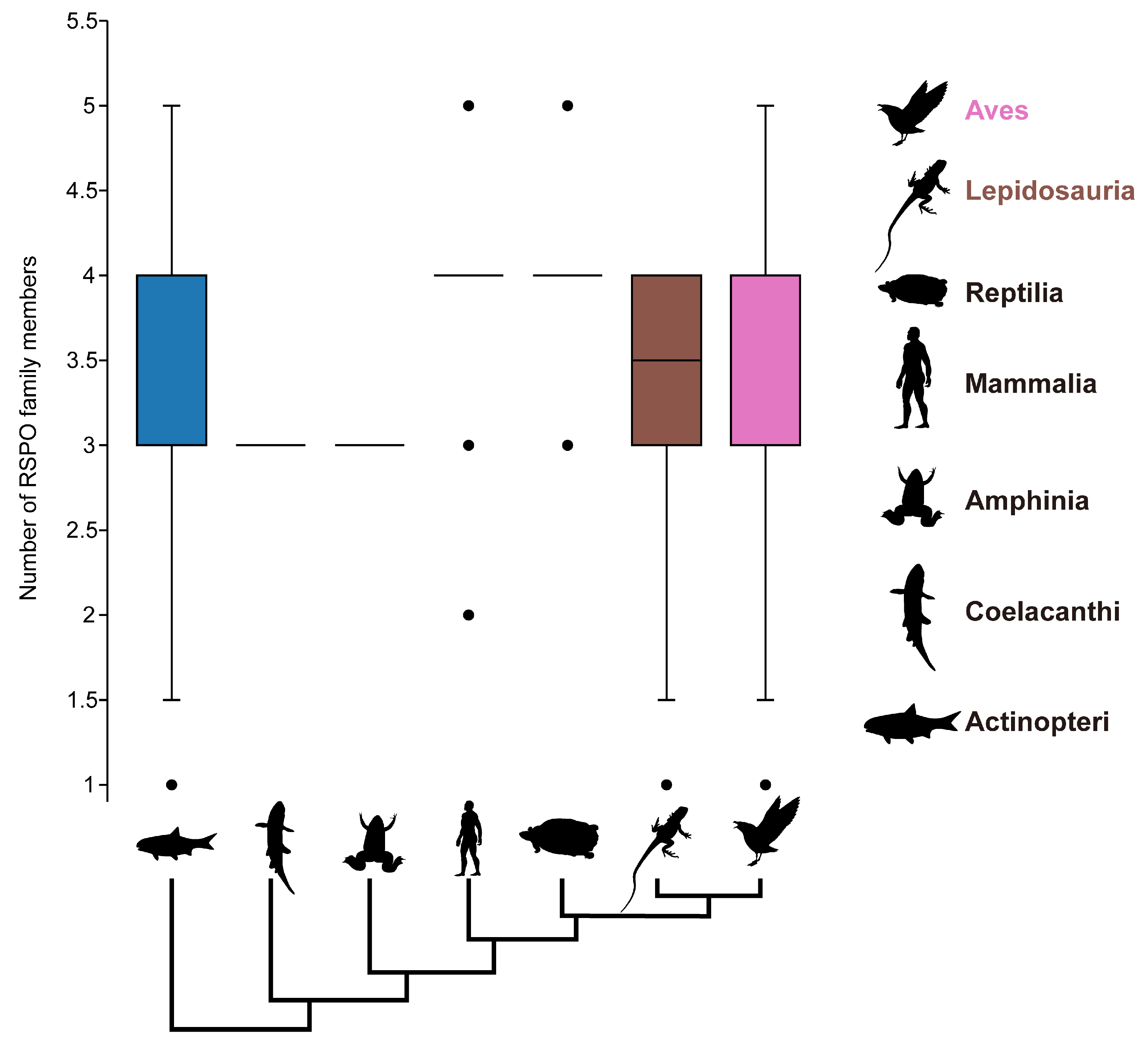 Genes 16 00477 g002 Genes 16 00477 g002