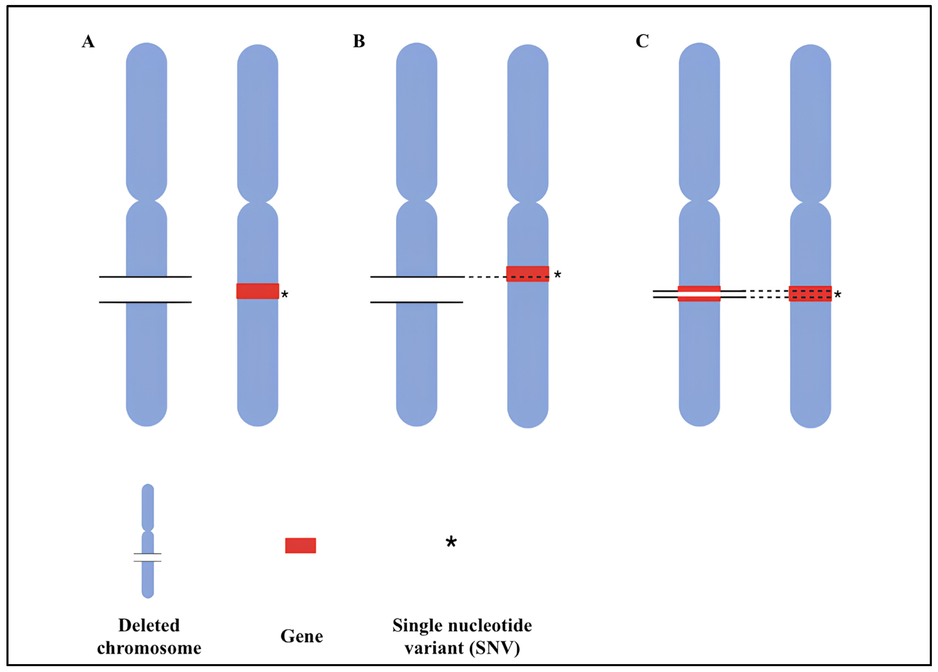 Genes 16 00478 g003 Genes 16 00478 g003
