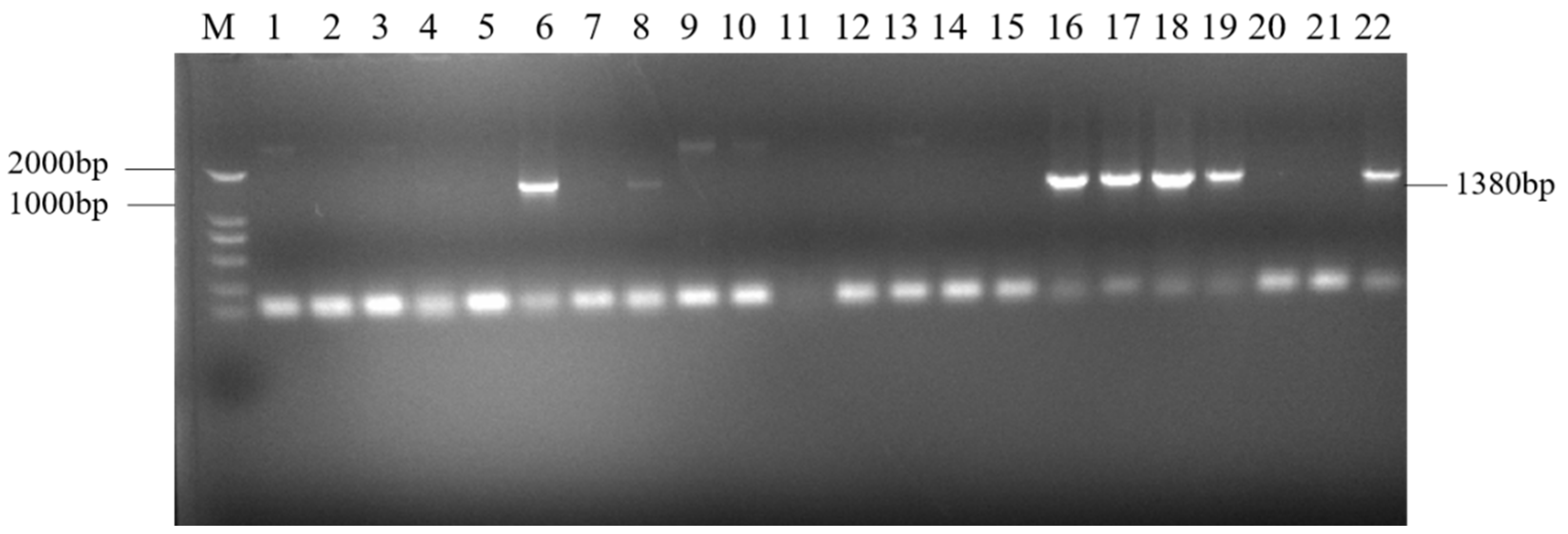 Genes 16 00479 g002
