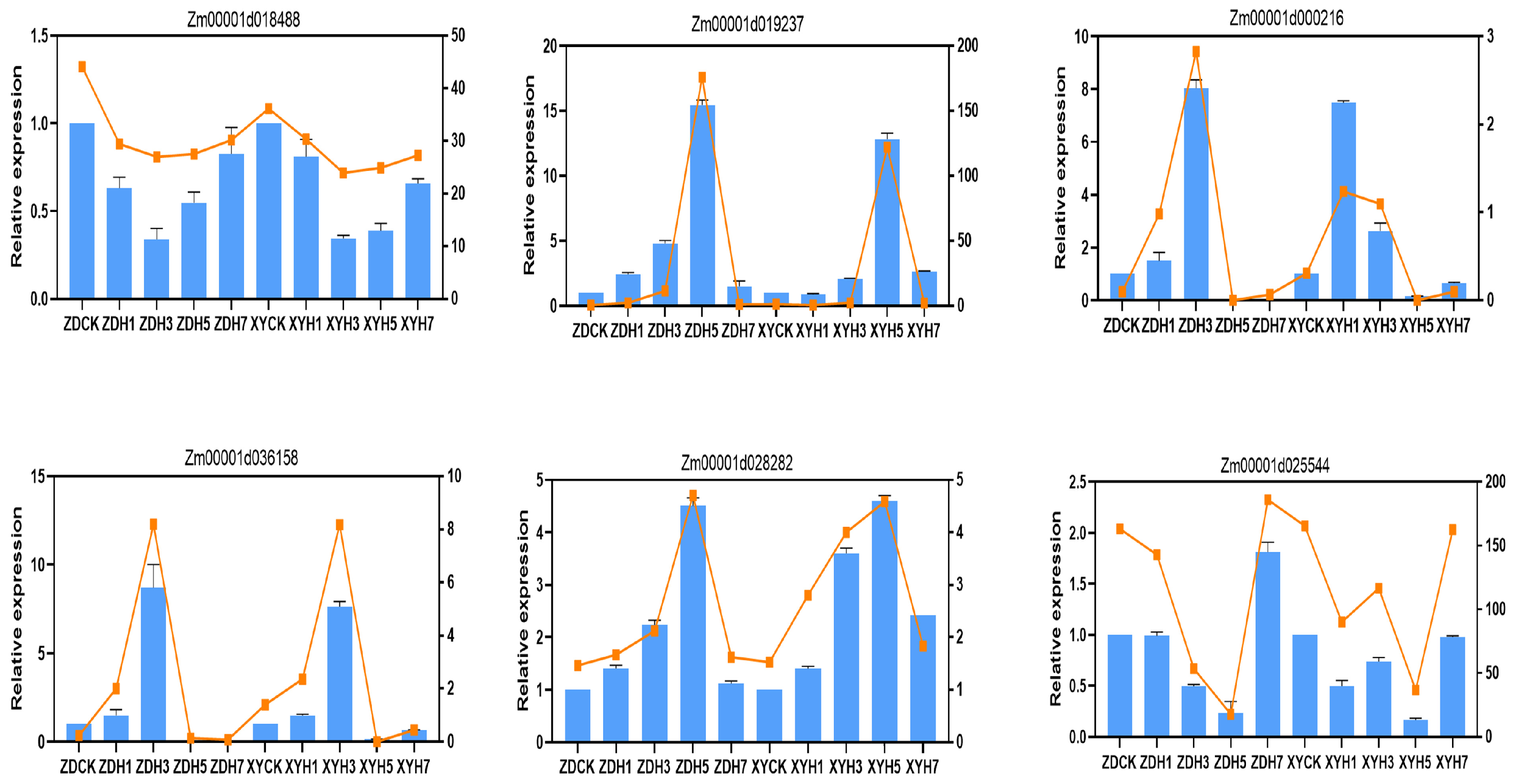 Genes 16 00480 g003