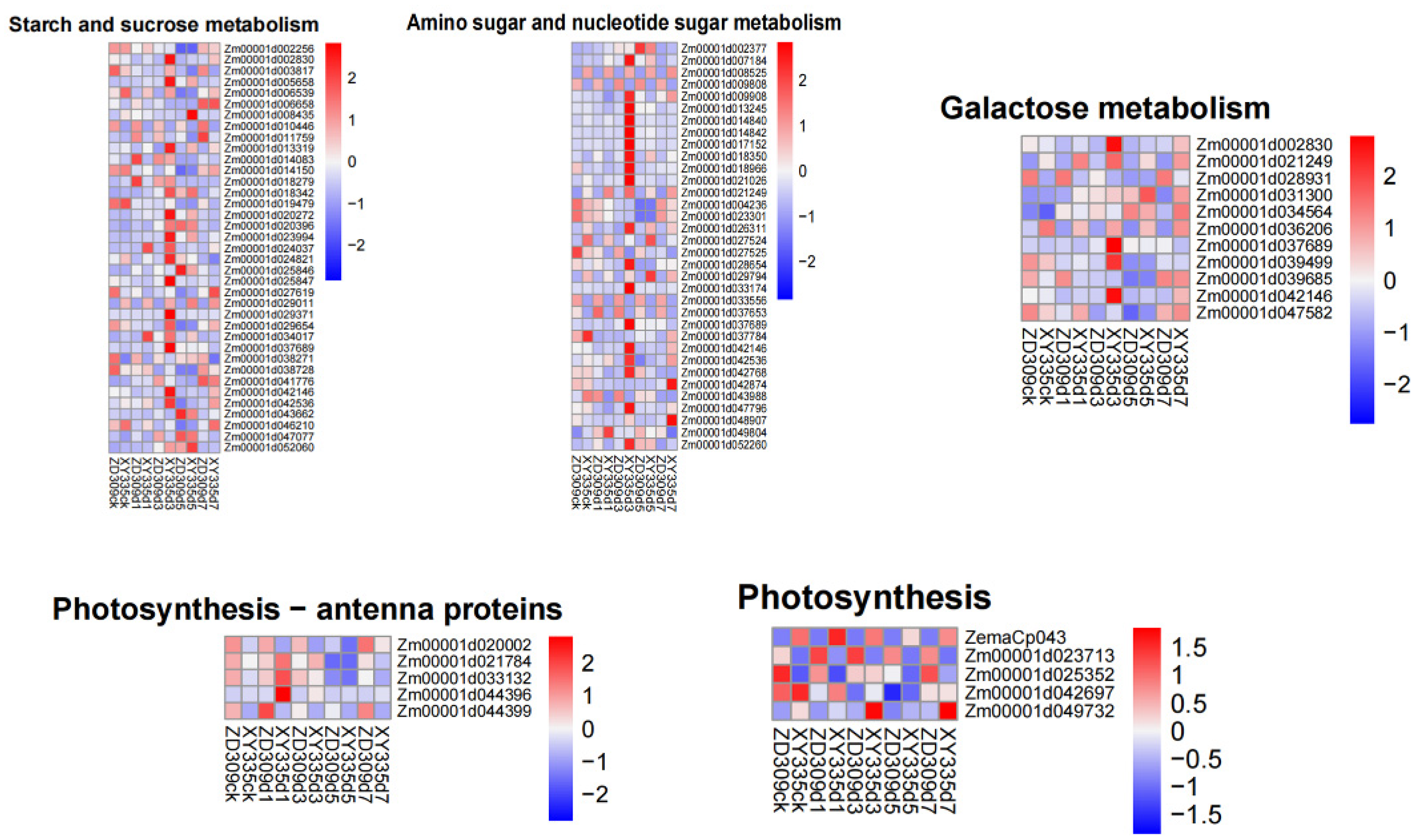 Genes 16 00480 g006