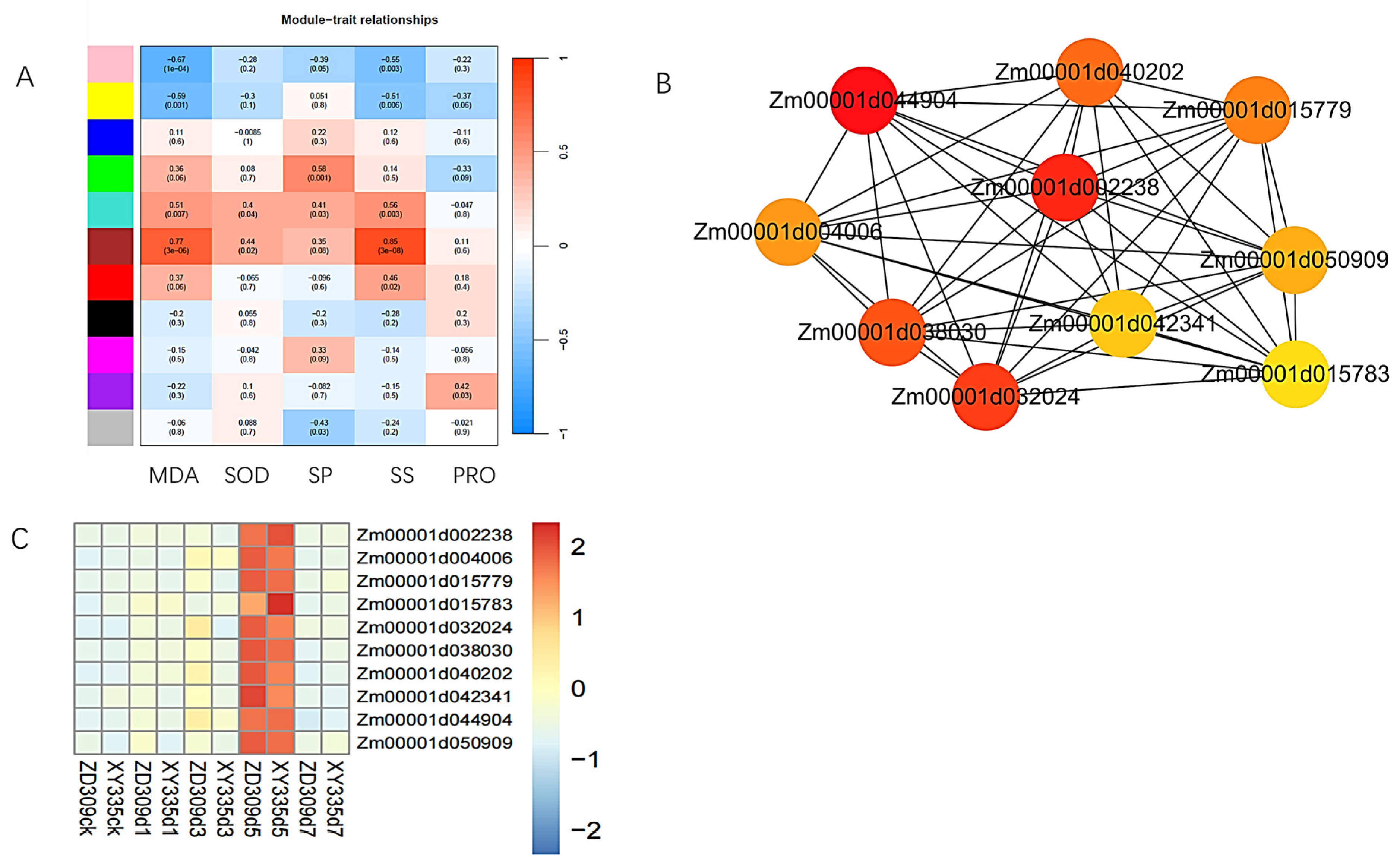 Genes 16 00480 g013