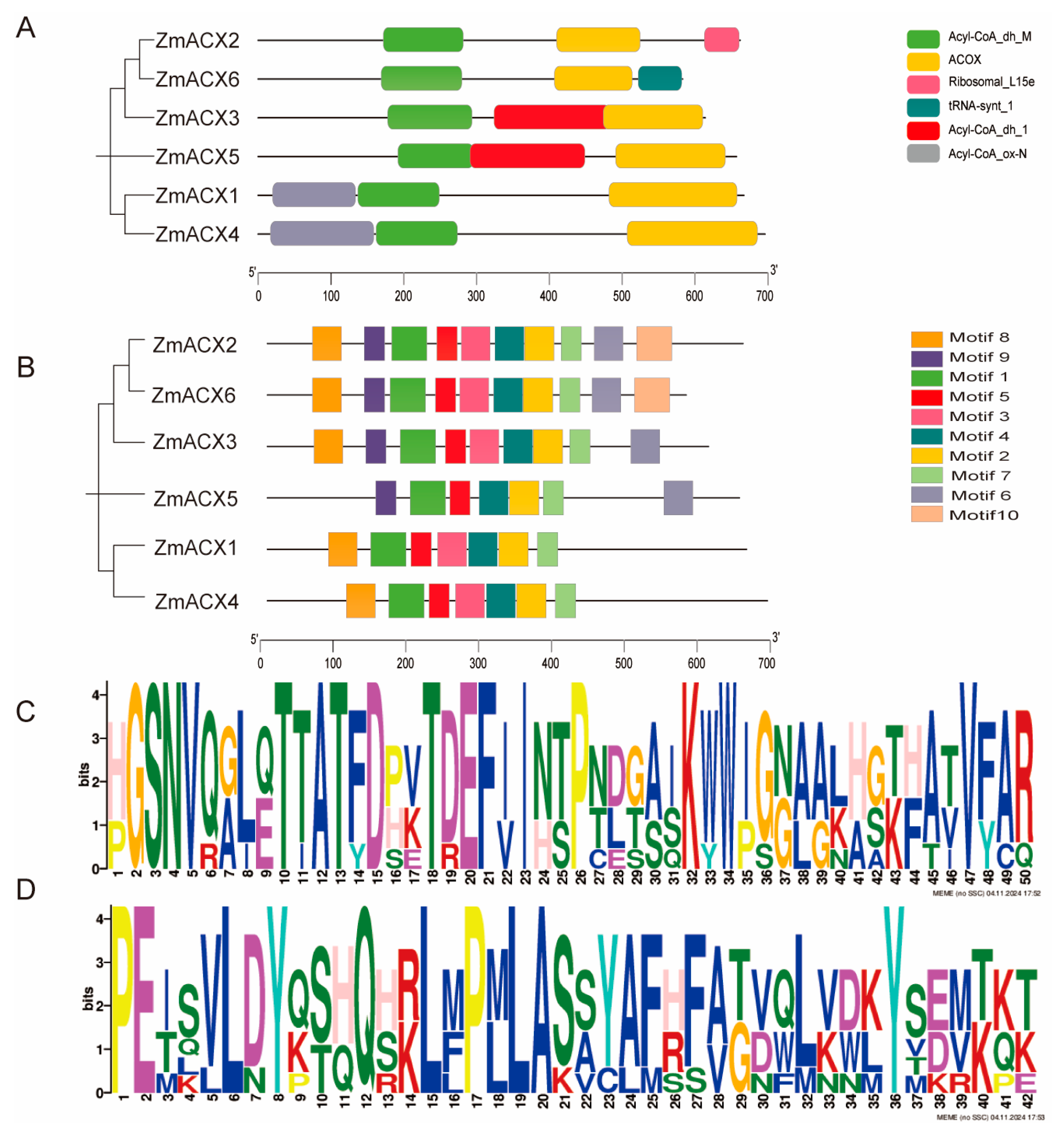Genes 16 00486 g002
