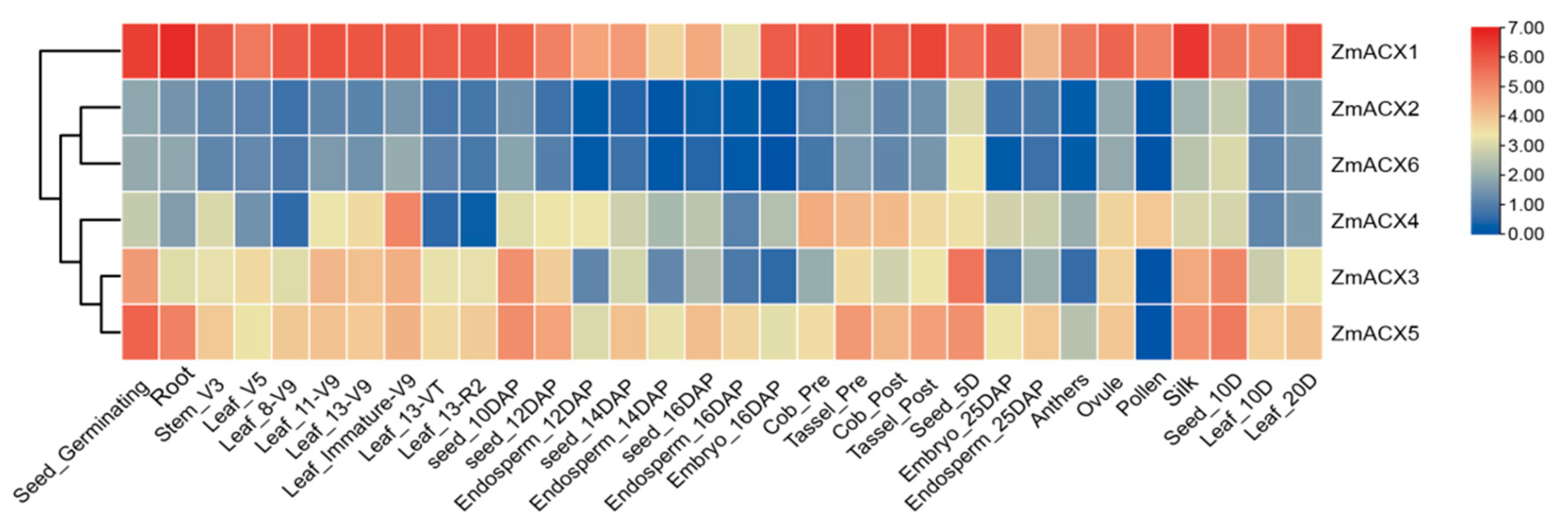Genes 16 00486 g004