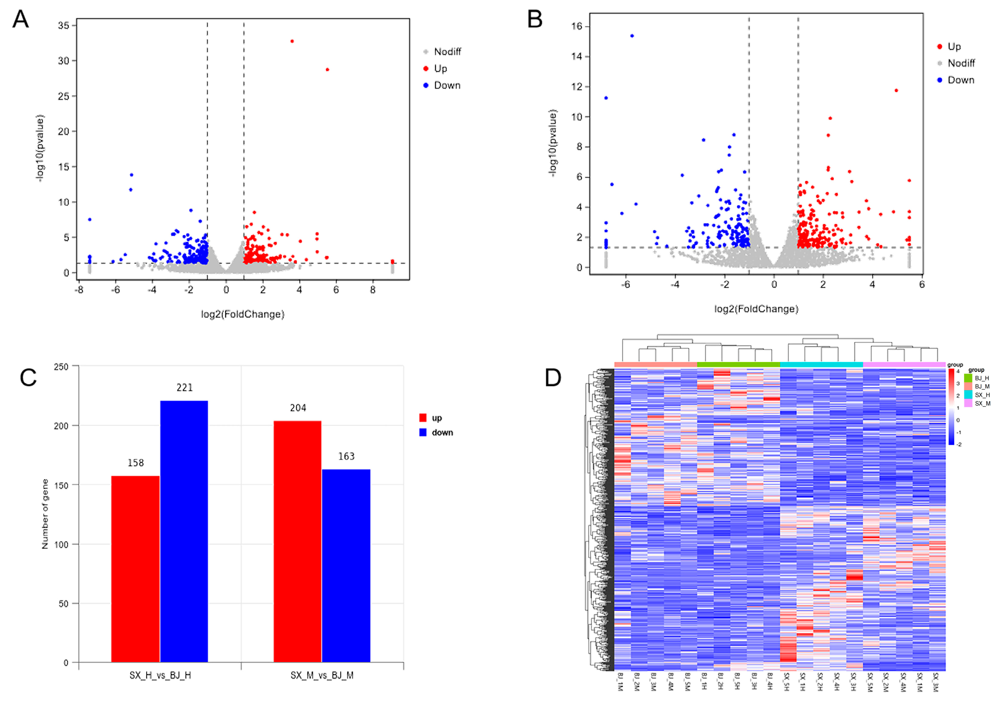 Genes 16 00488 g001