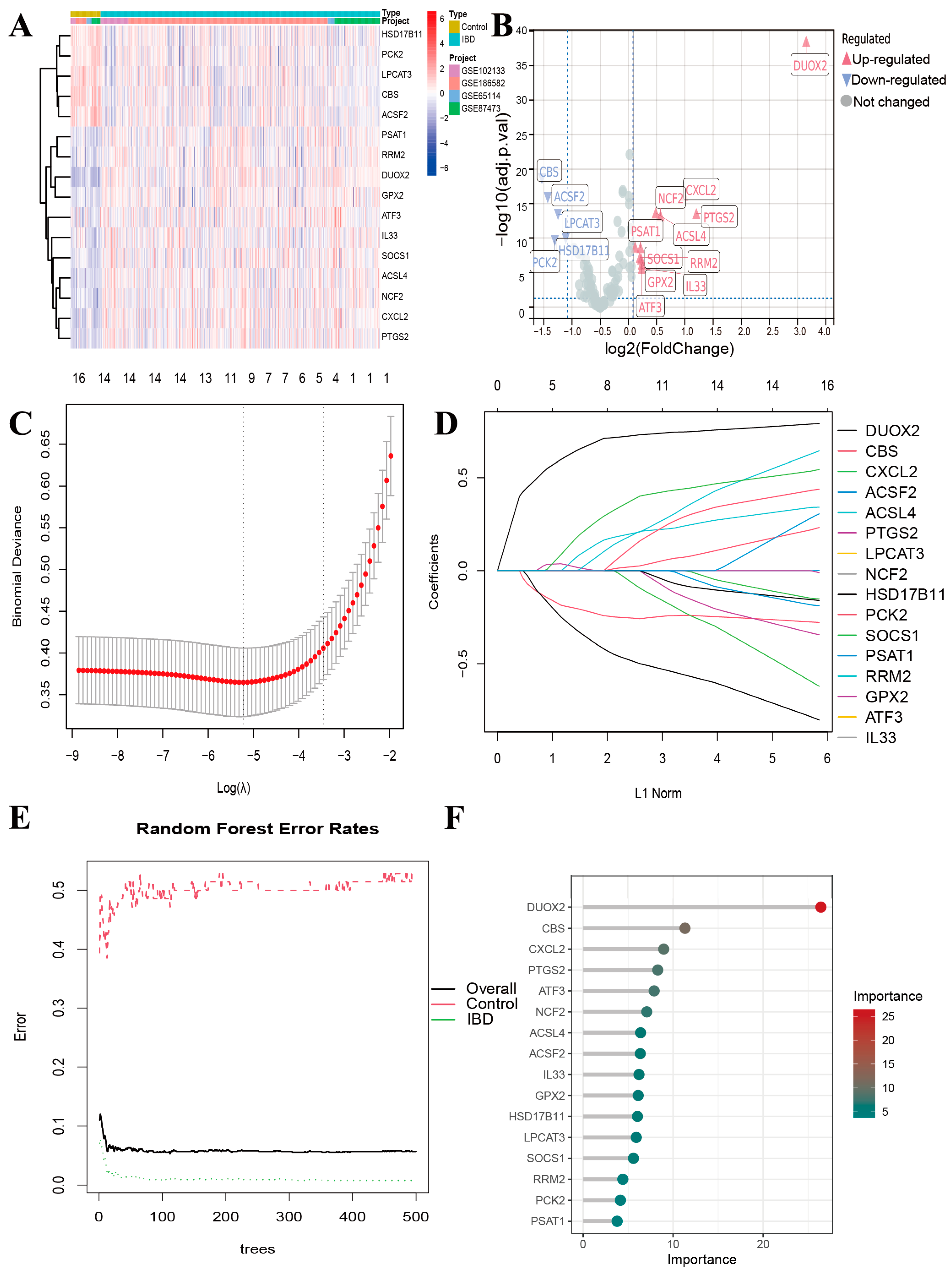 Genes 16 00496 g003