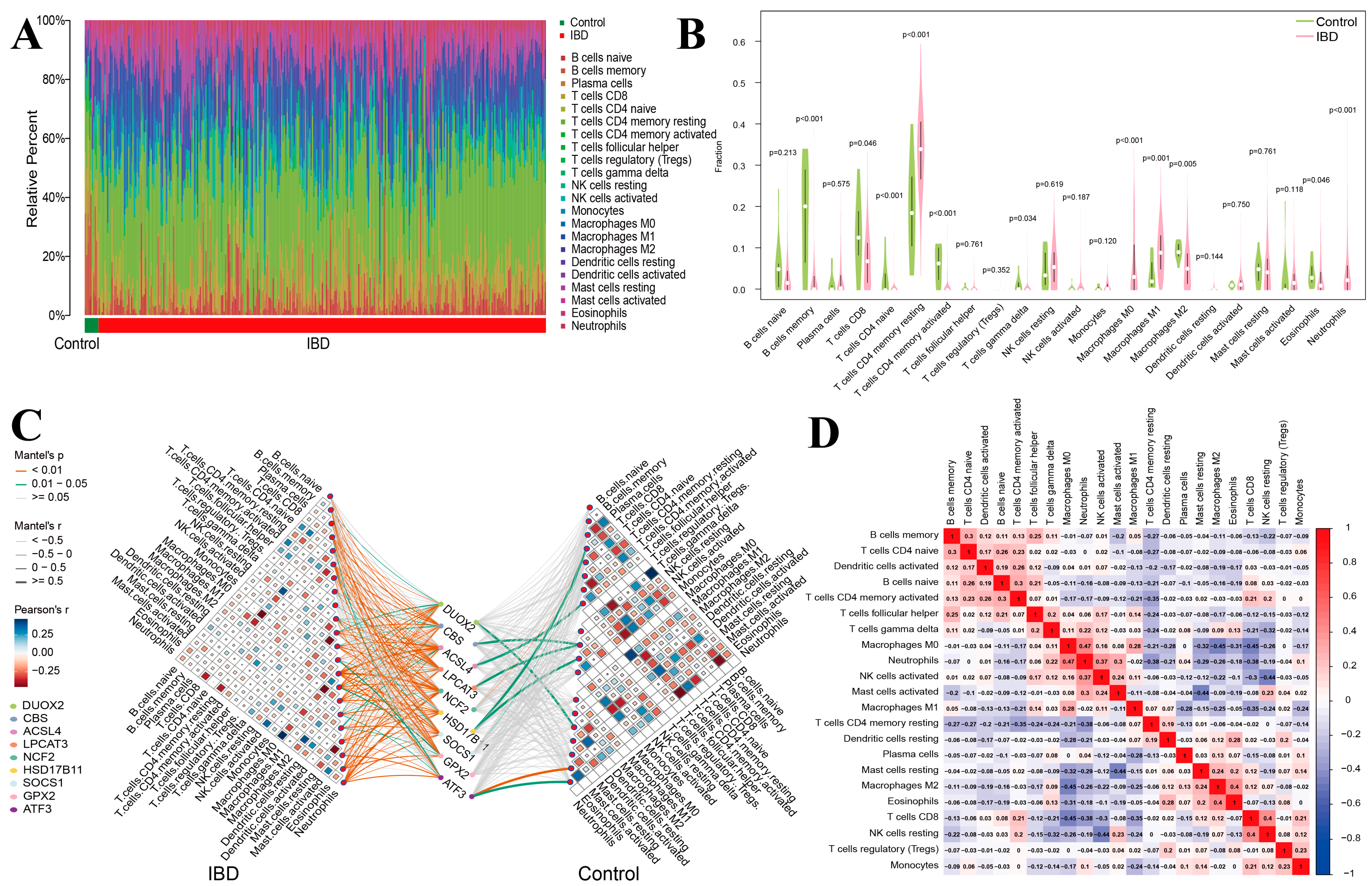 Genes 16 00496 g005