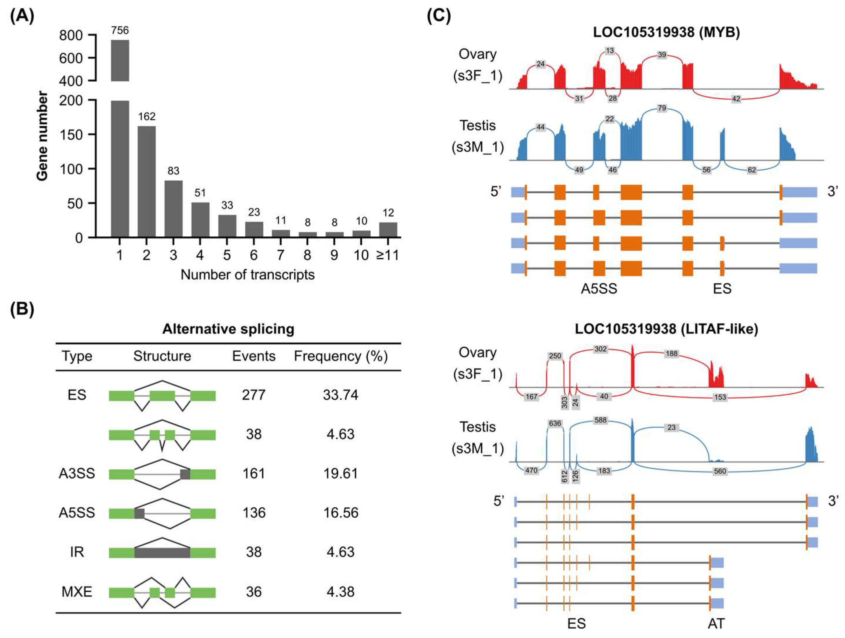 Genes 16 00513 g003
