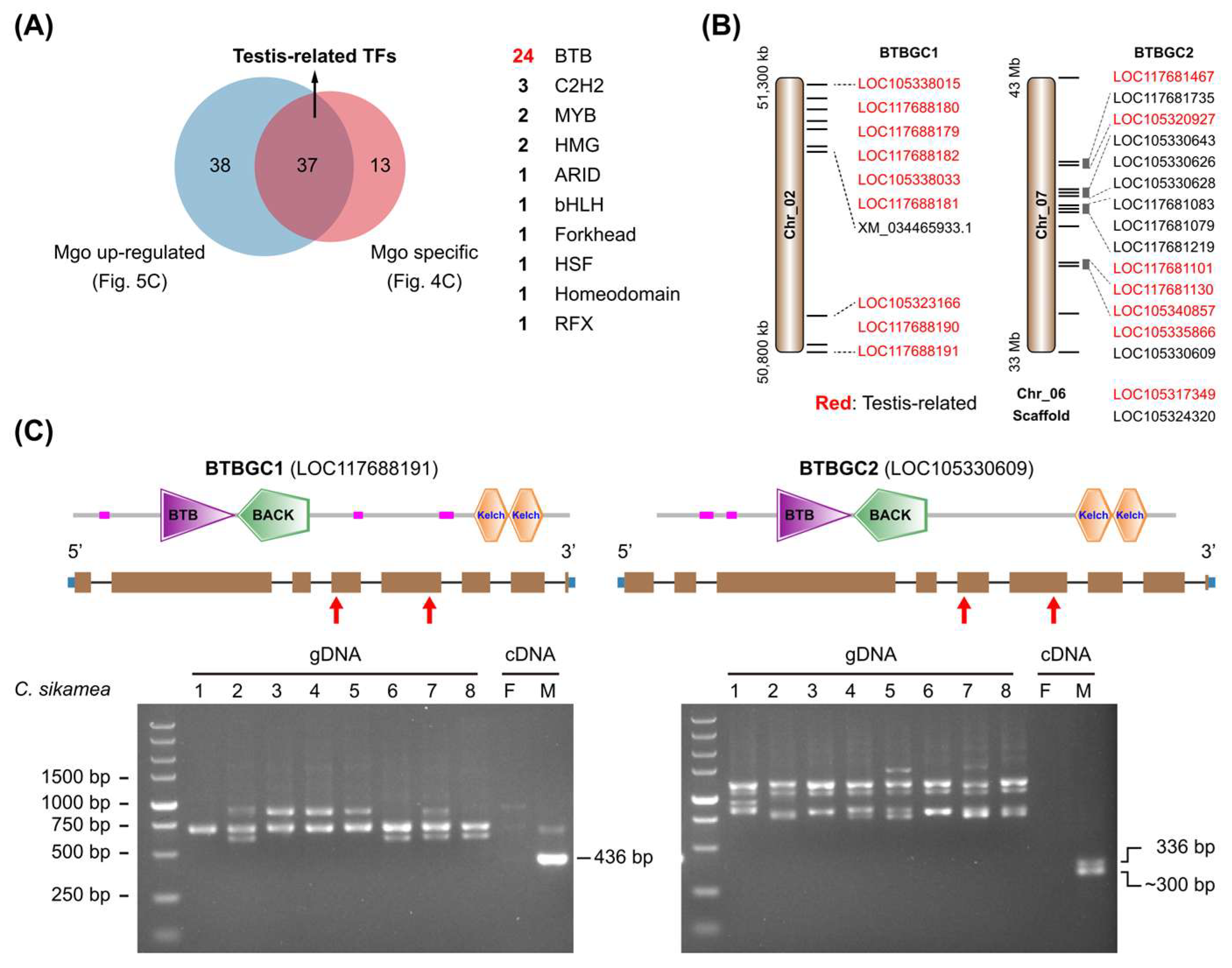 Genes 16 00513 g008