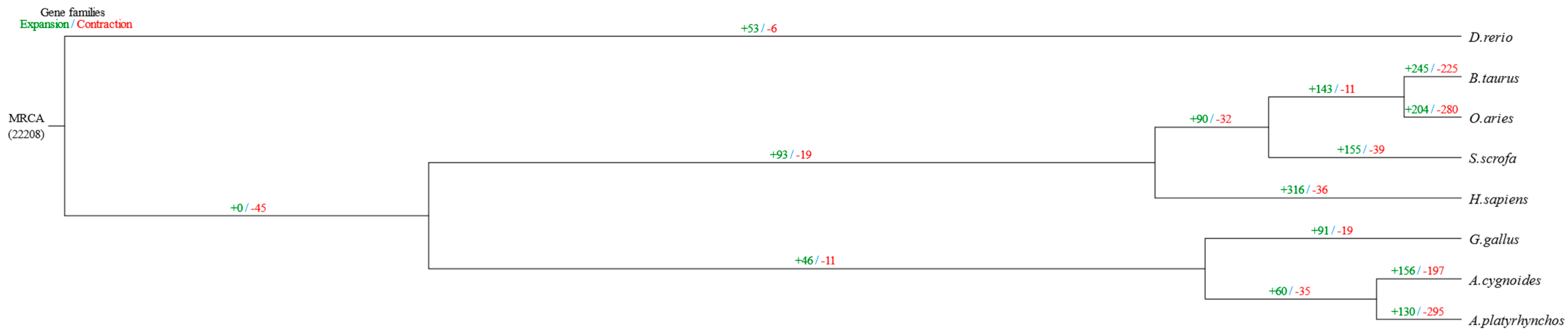 Genes 16 00627 g003 Genes 16 00627 g003