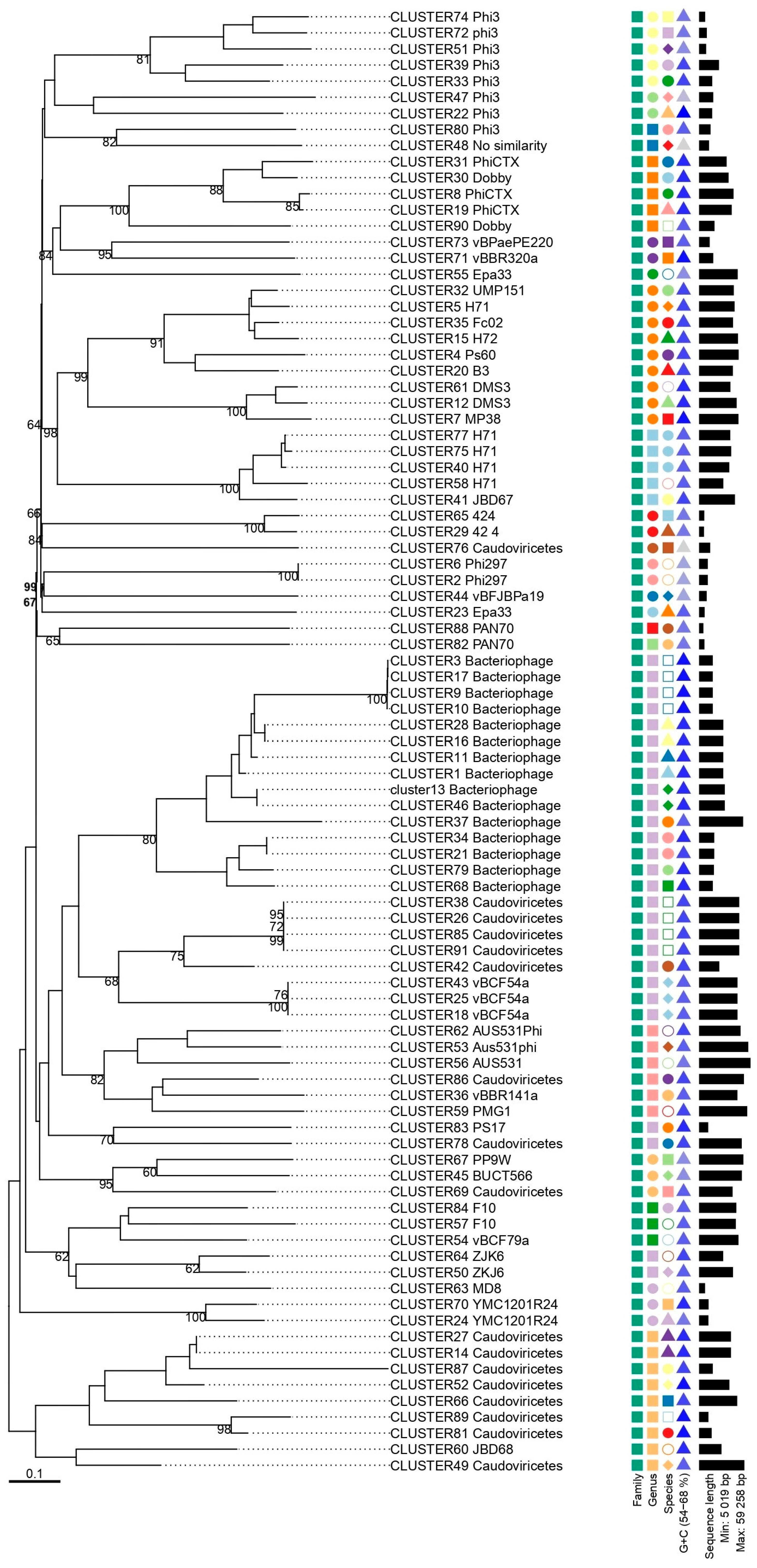 Genes 16 00656 g004