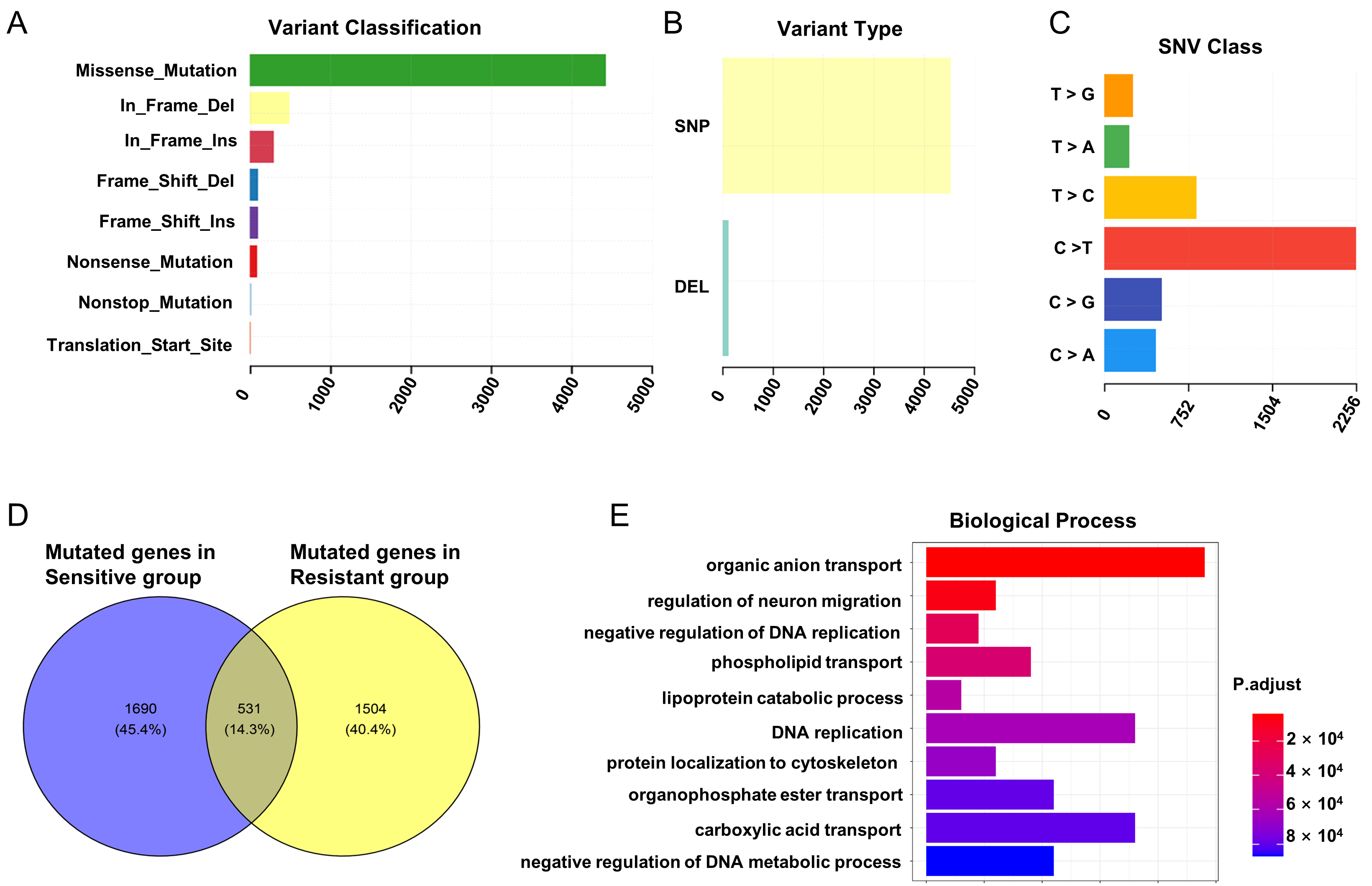 Genes 16 00696 g001