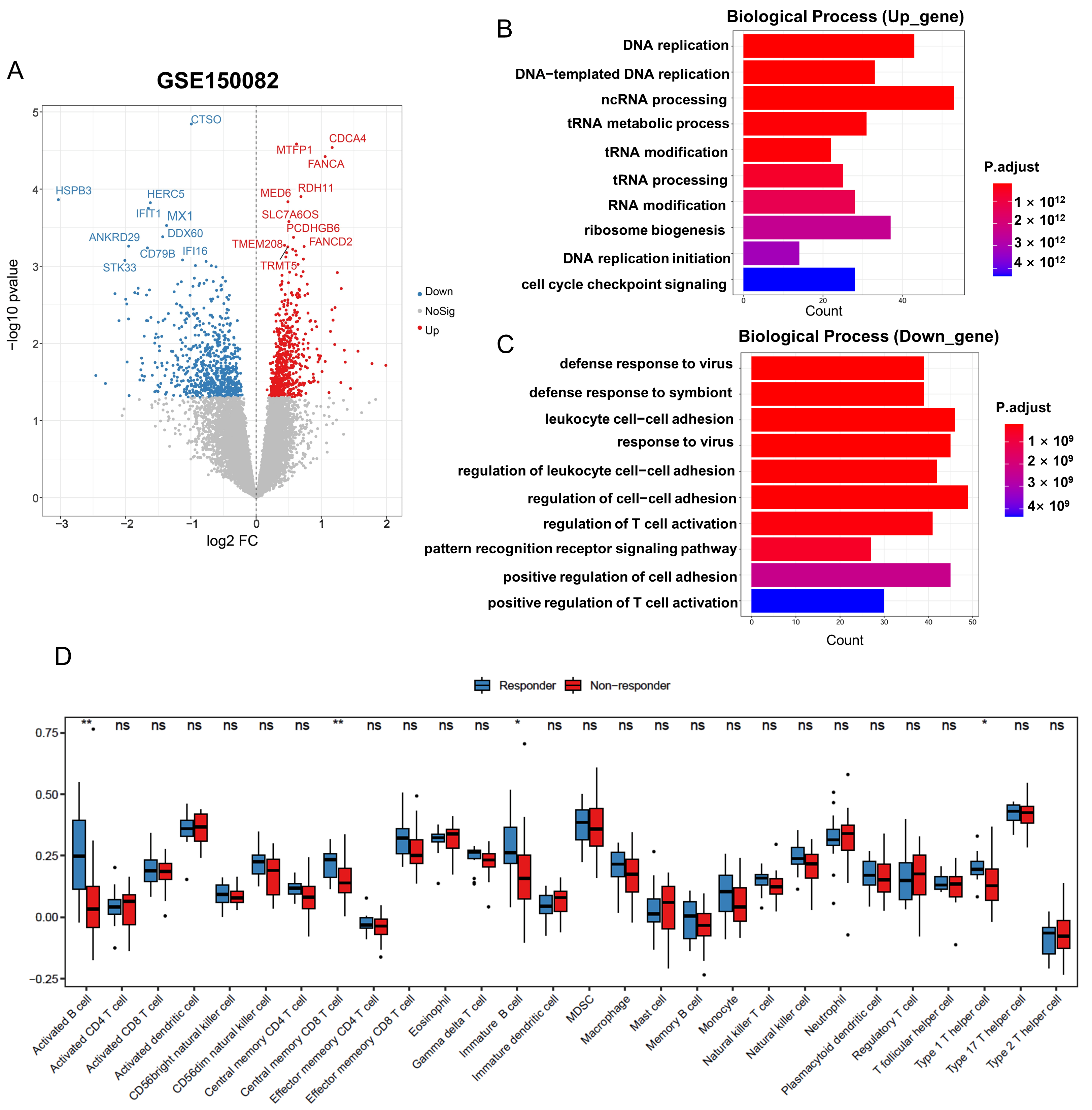 Genes 16 00696 g002
