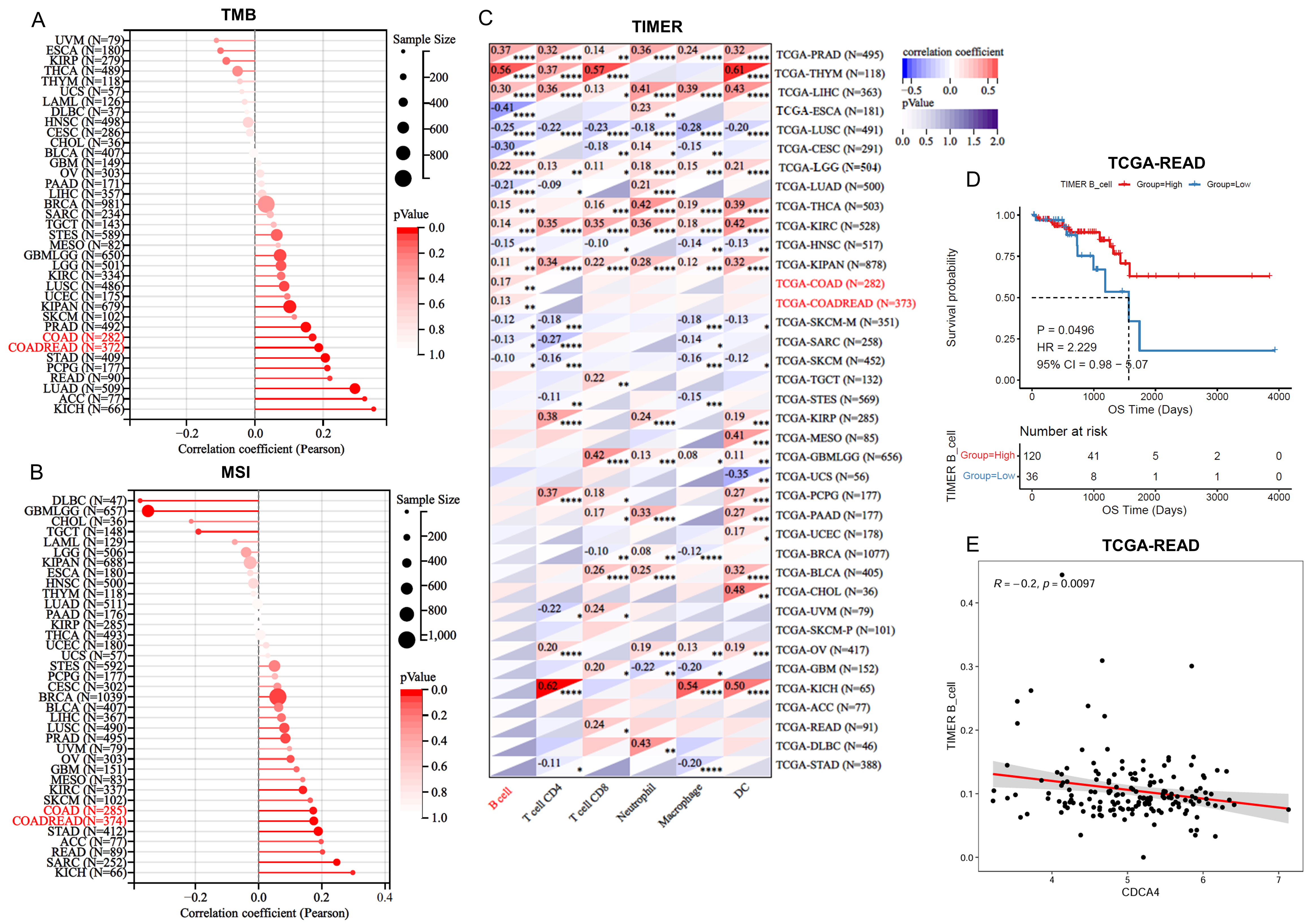 Genes 16 00696 g004