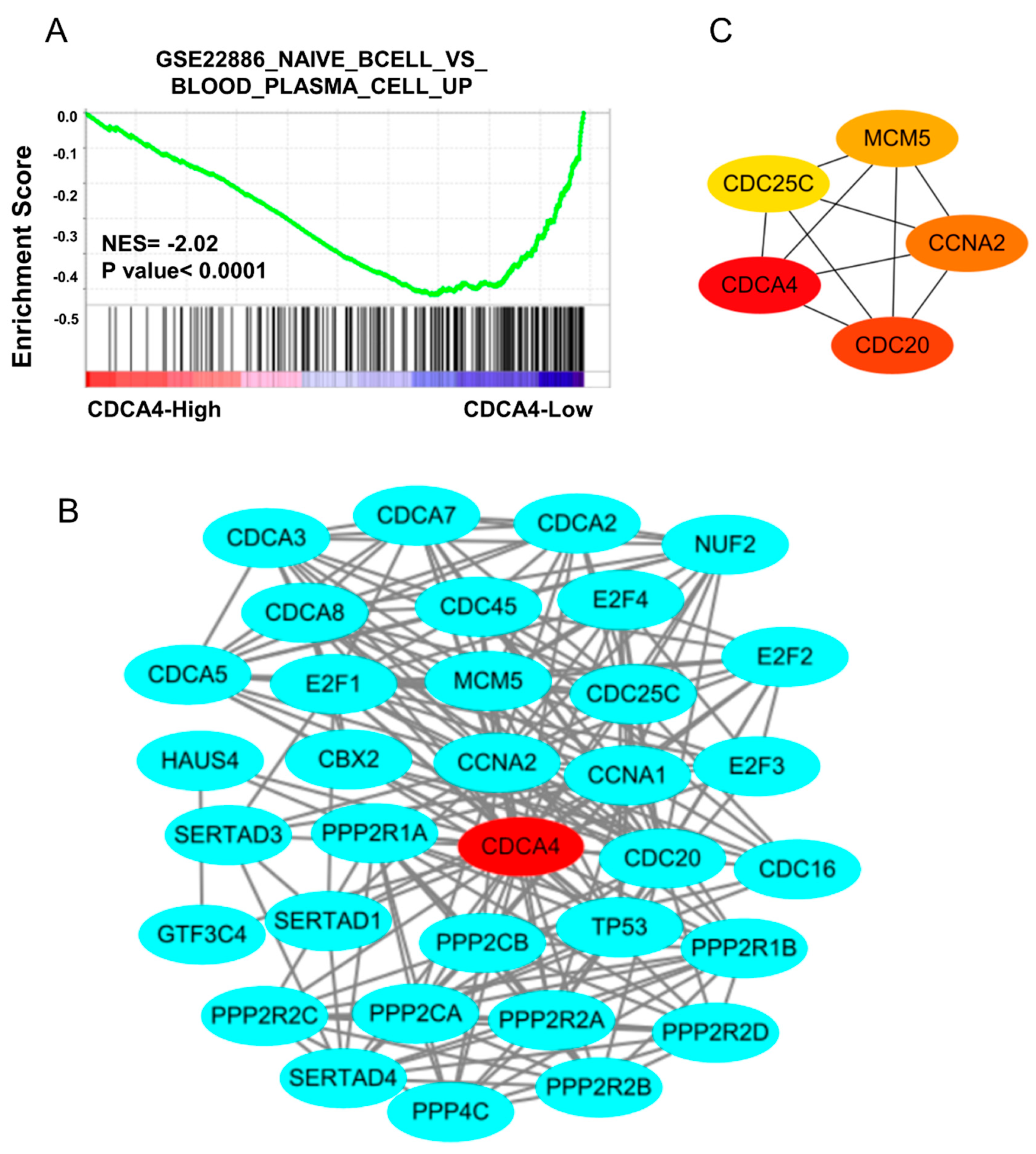 Genes 16 00696 g005
