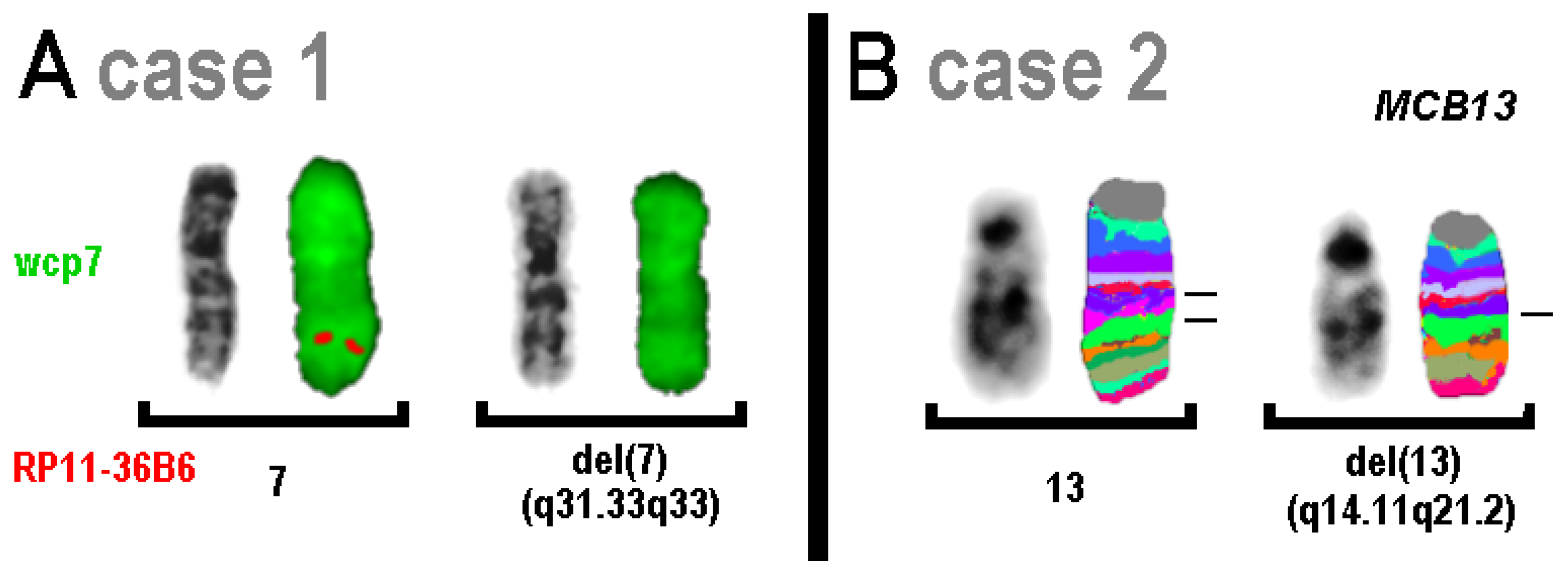 Genes 16 00714 g001