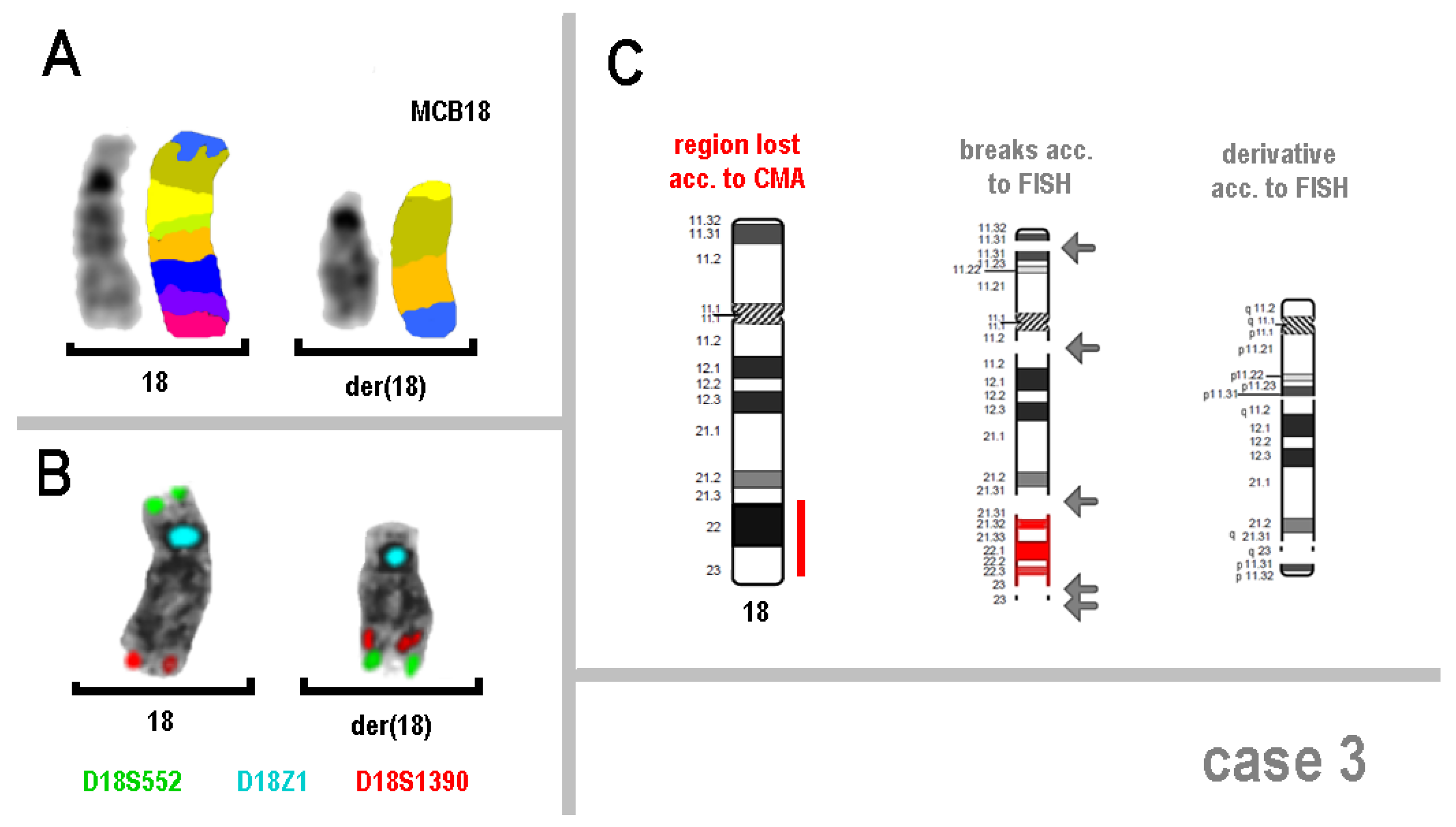 Genes 16 00714 g002
